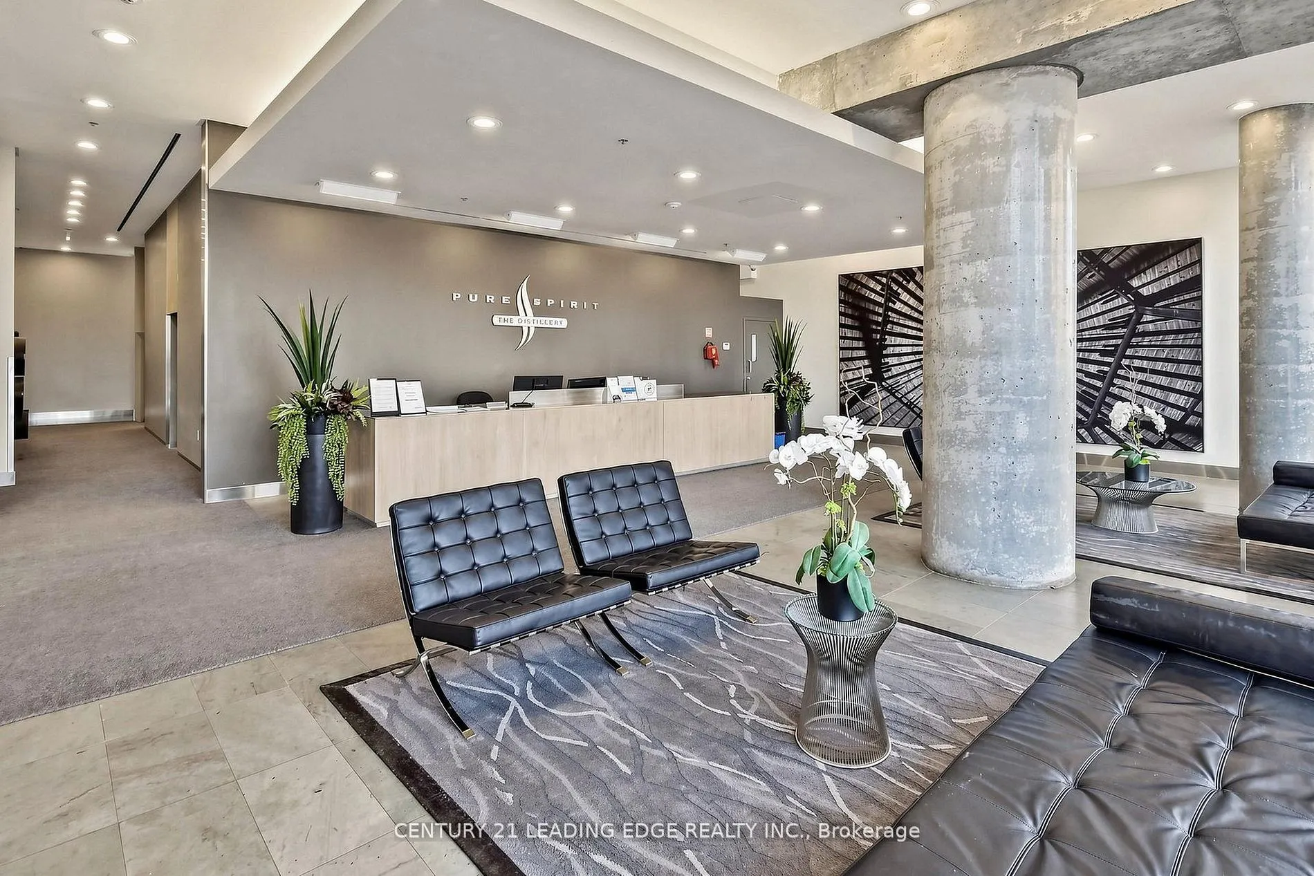 33 Mill Street #210