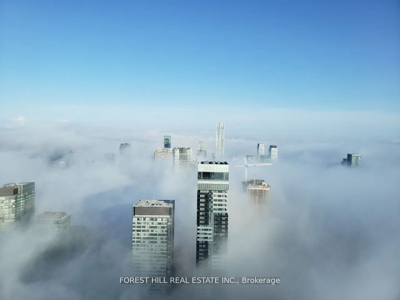 388 Yonge Street #7401