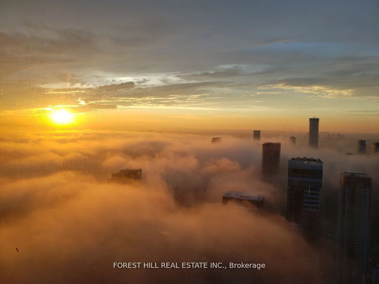 388 Yonge Street #7401