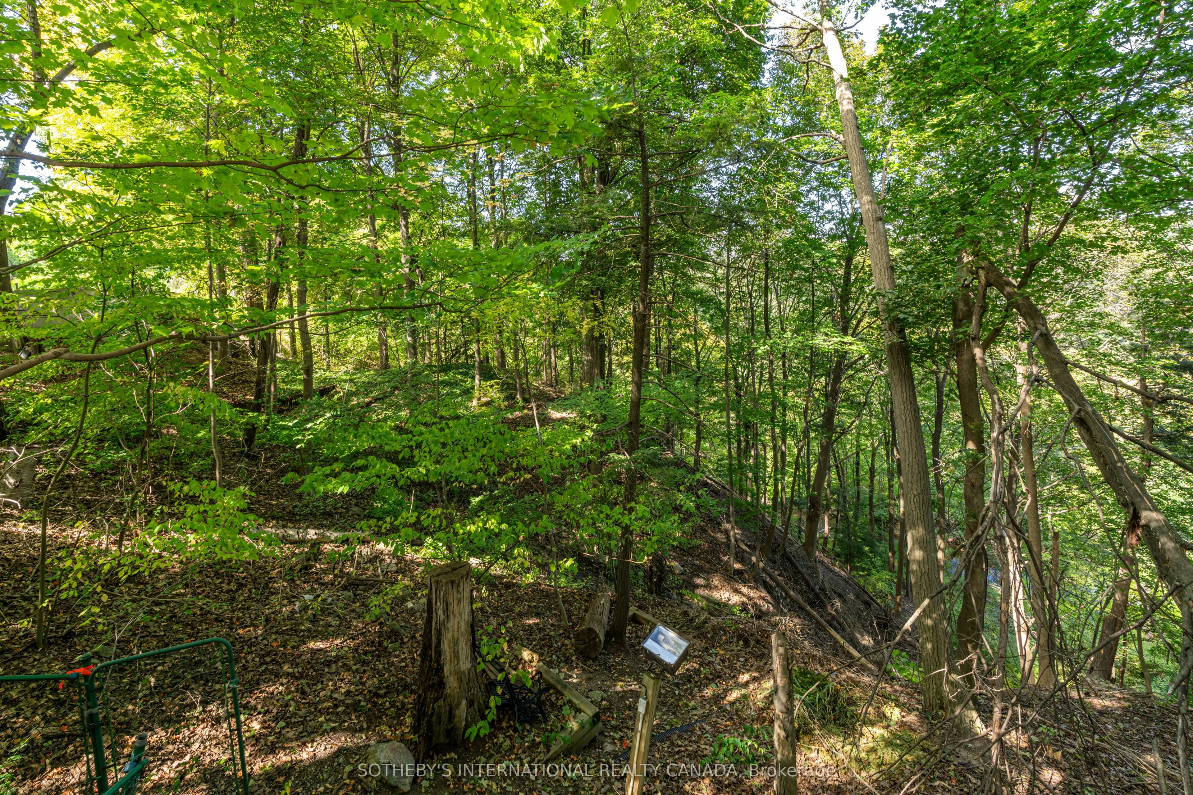 338 Riverview Drive