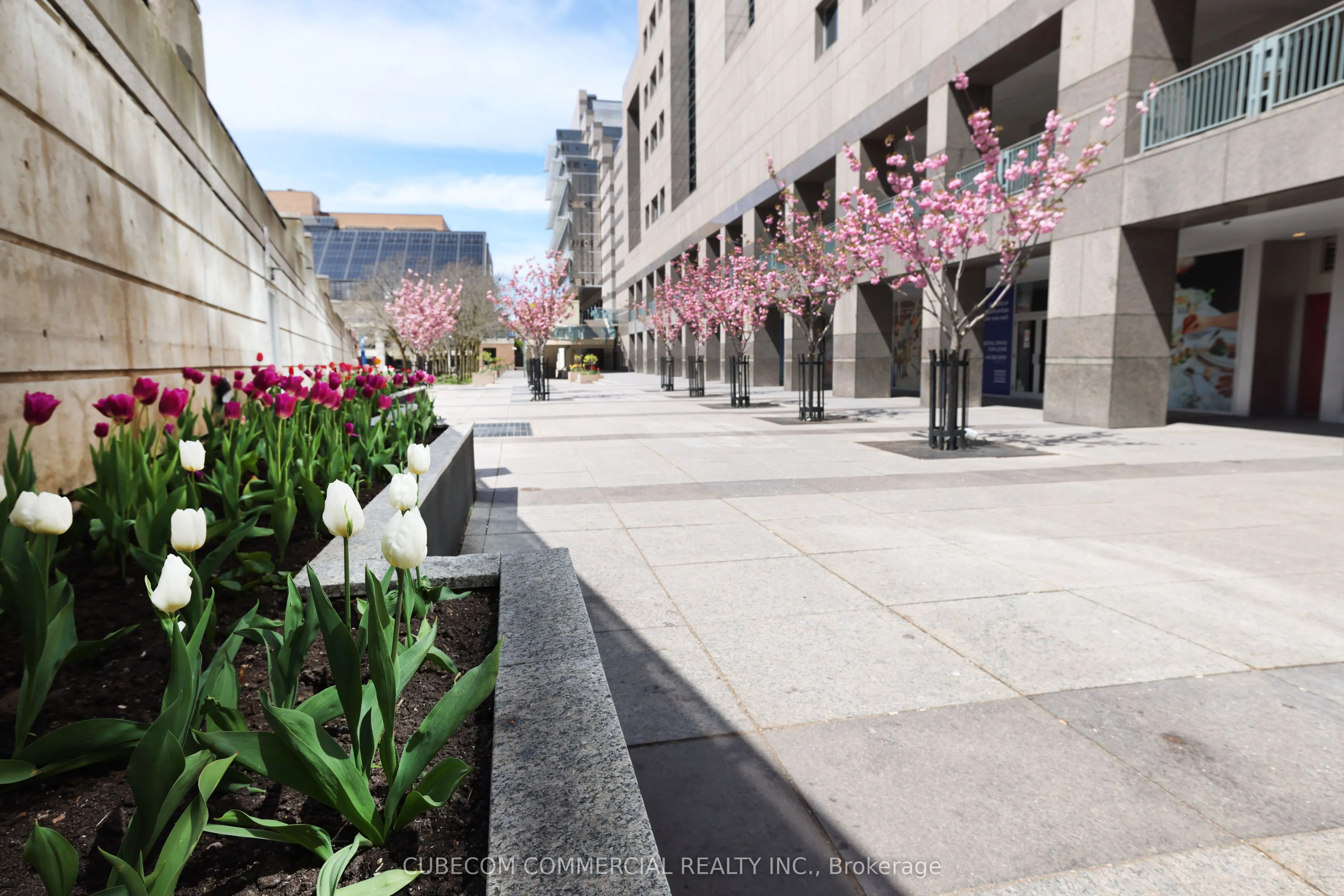 5150 Yonge Street #C12