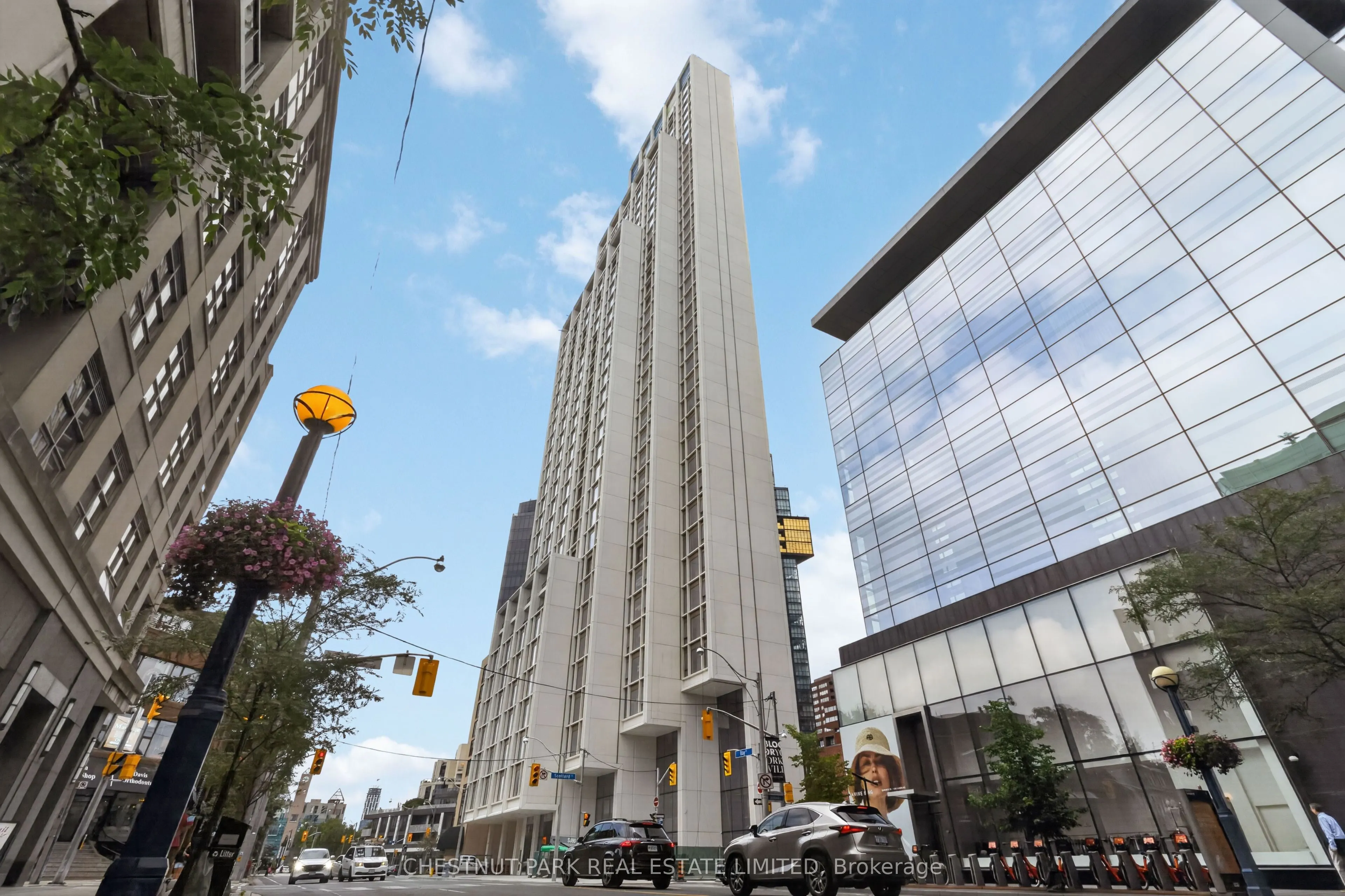 1315 Bay Street #504