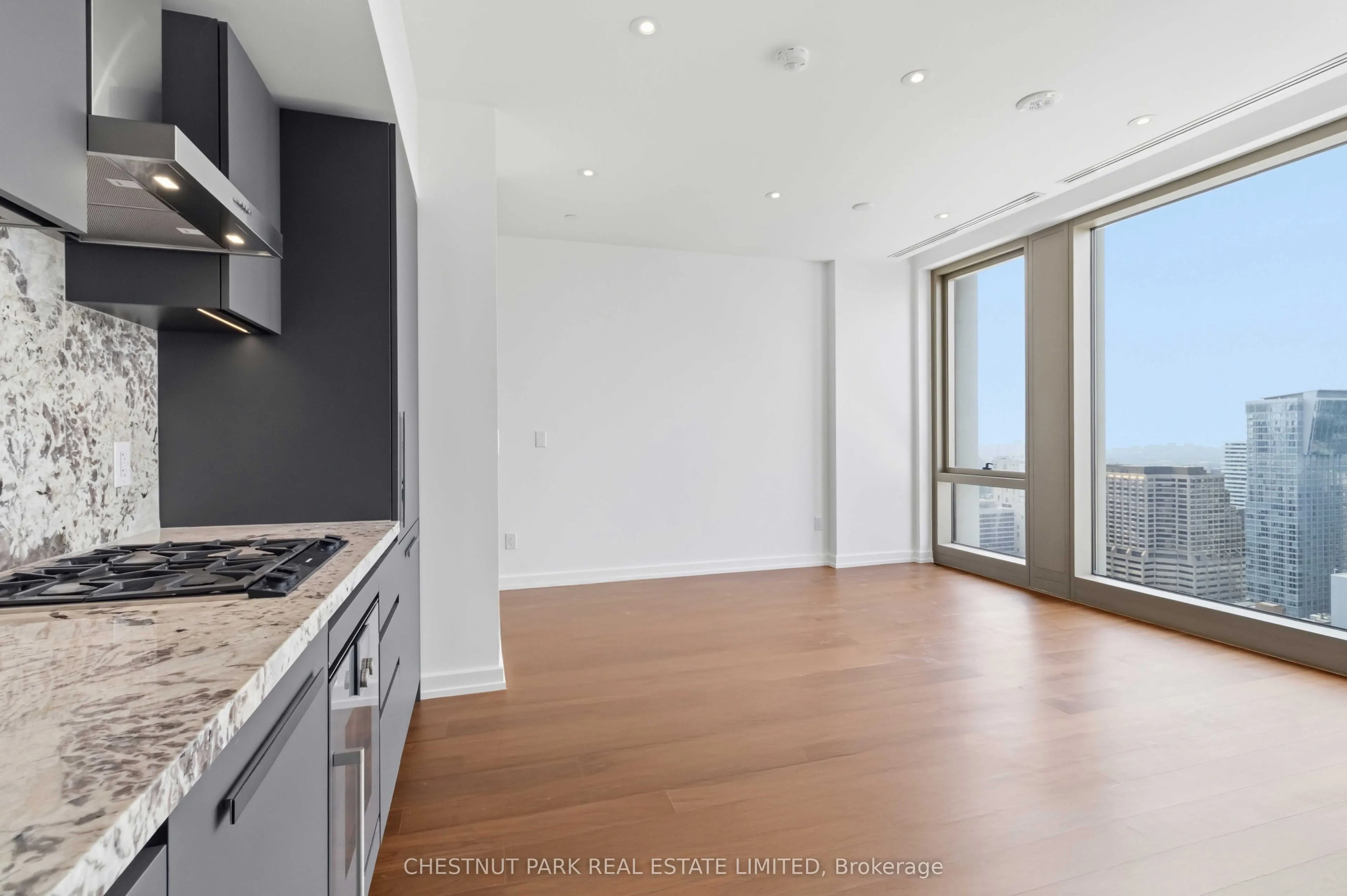 1315 Bay Street #3102