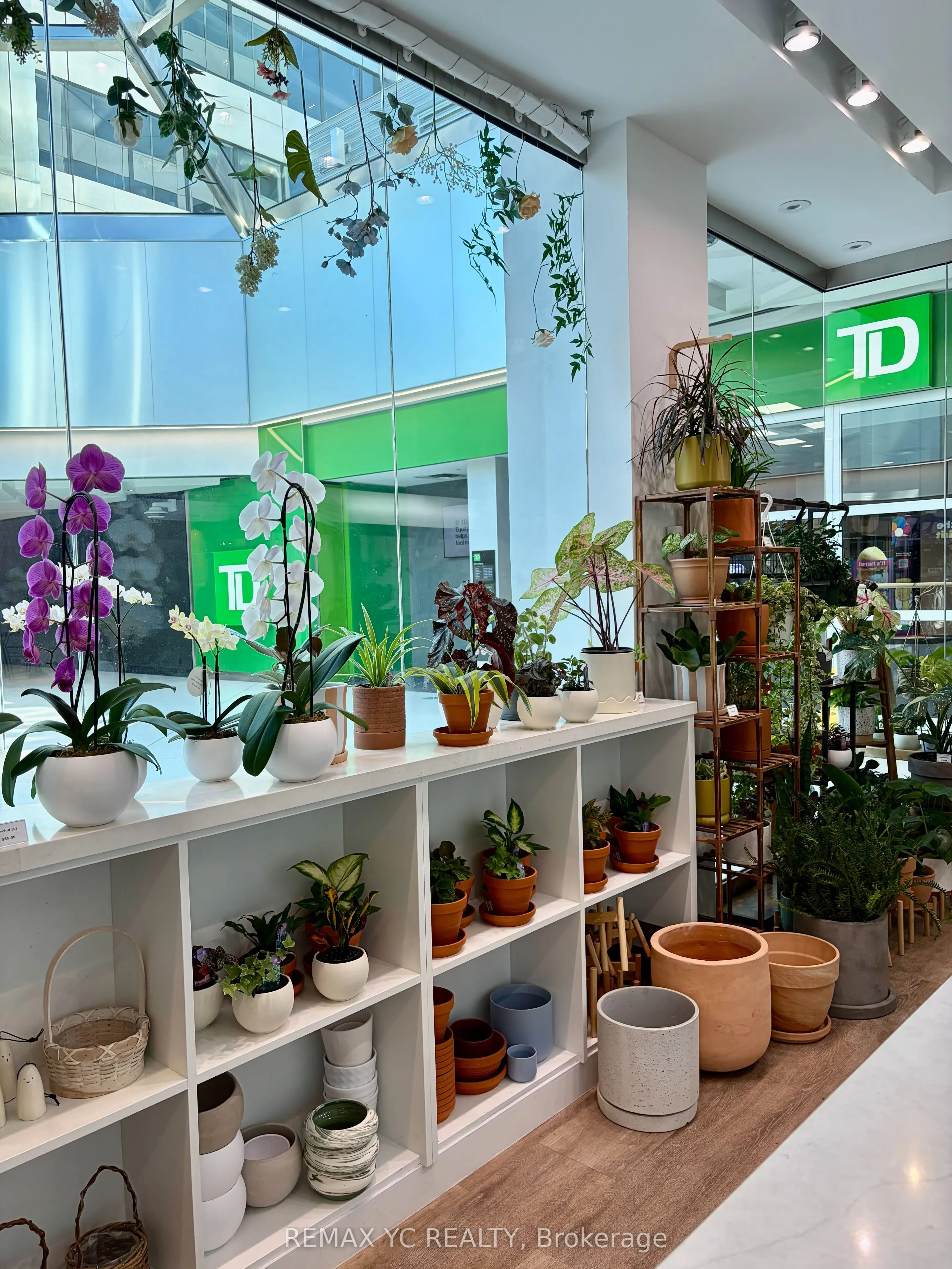 2 St. Clair Avenue E #105