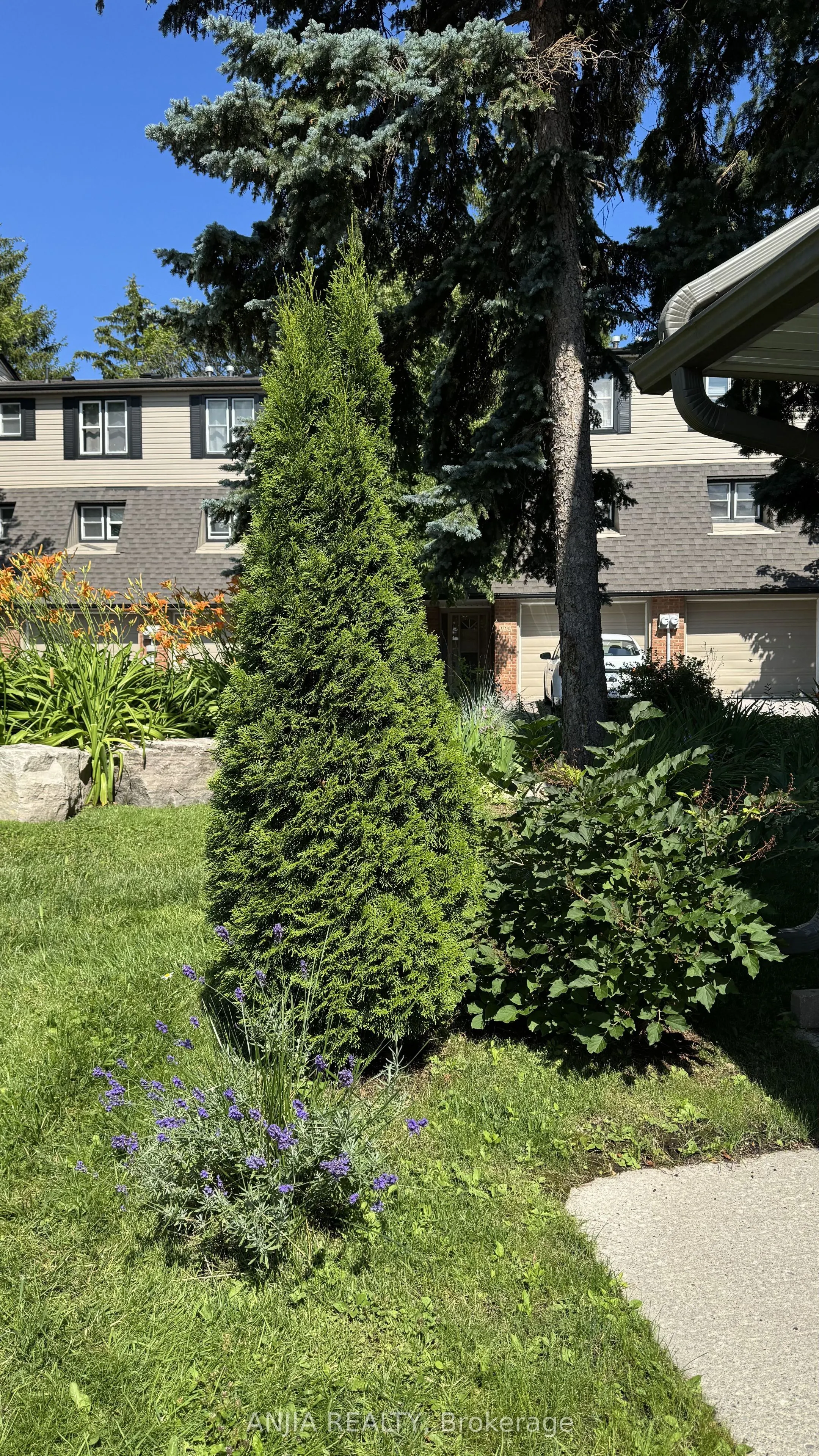 7 Purple Sageway #65