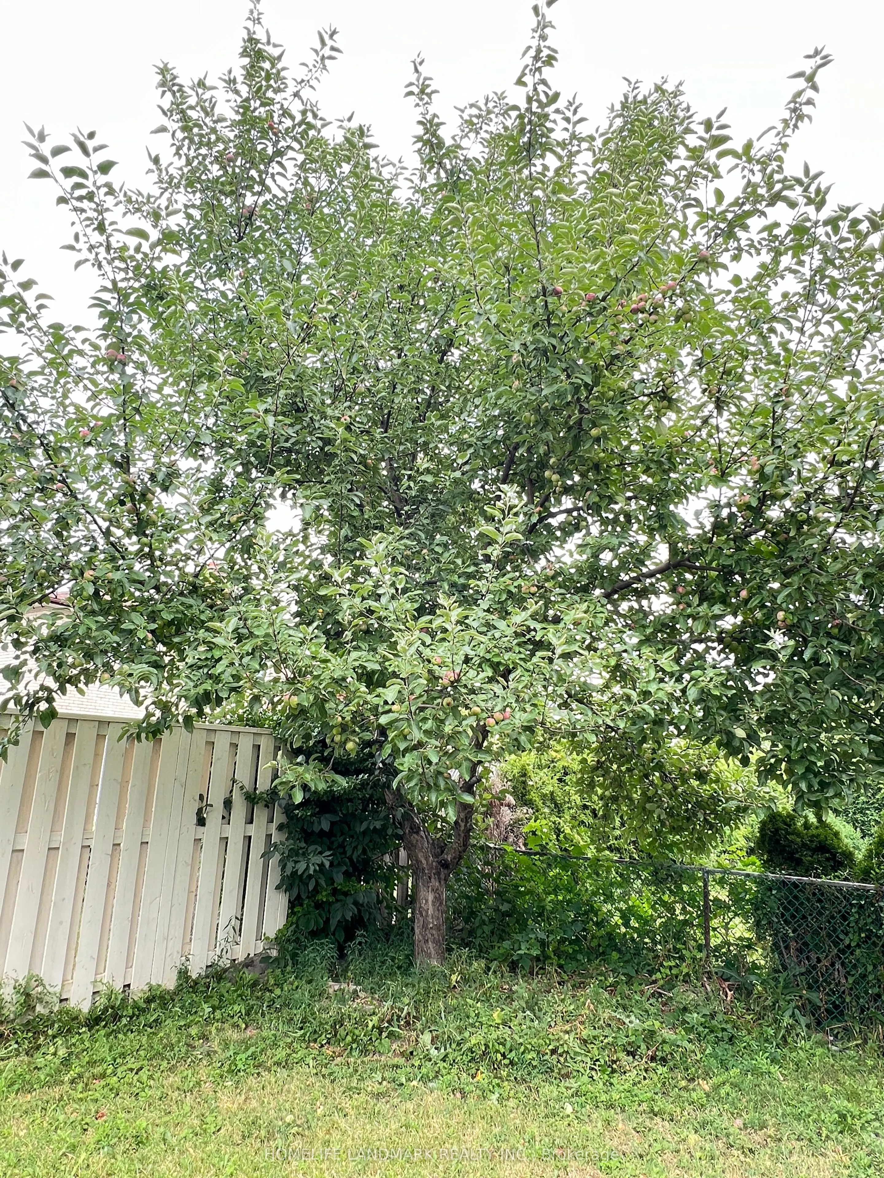 29 Tillplain Road