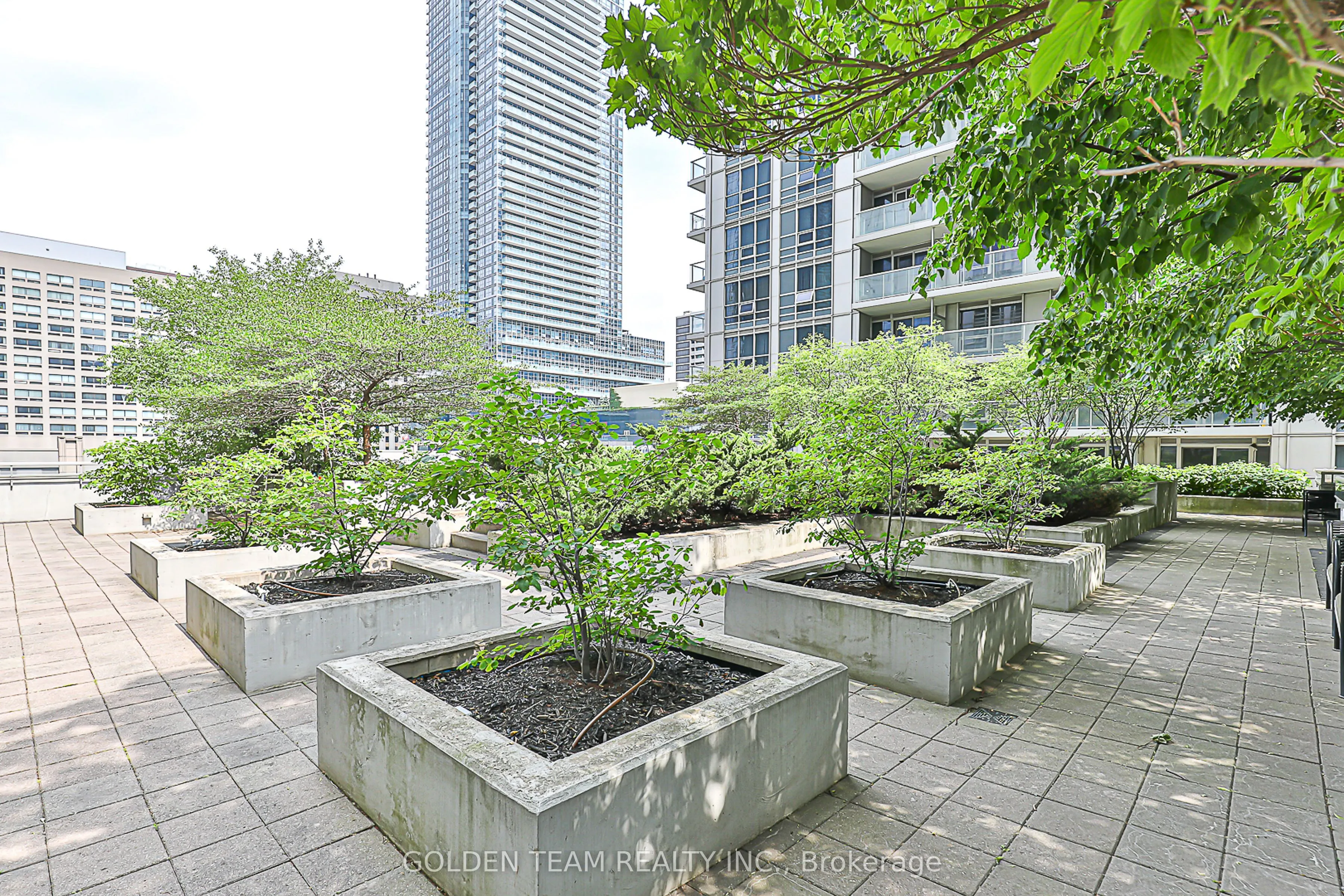 763 Bay Street #3006