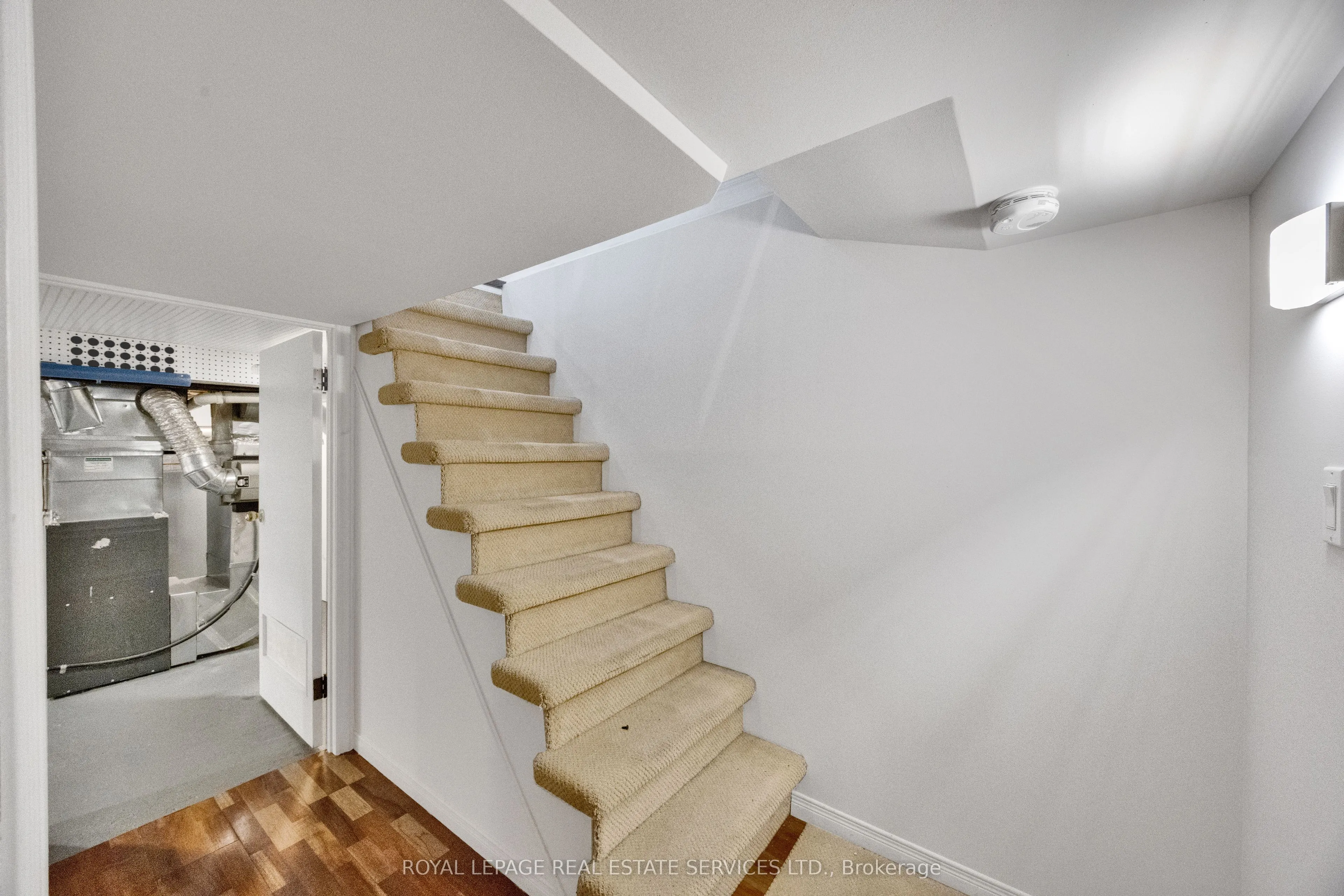 37 Johnston Avenue