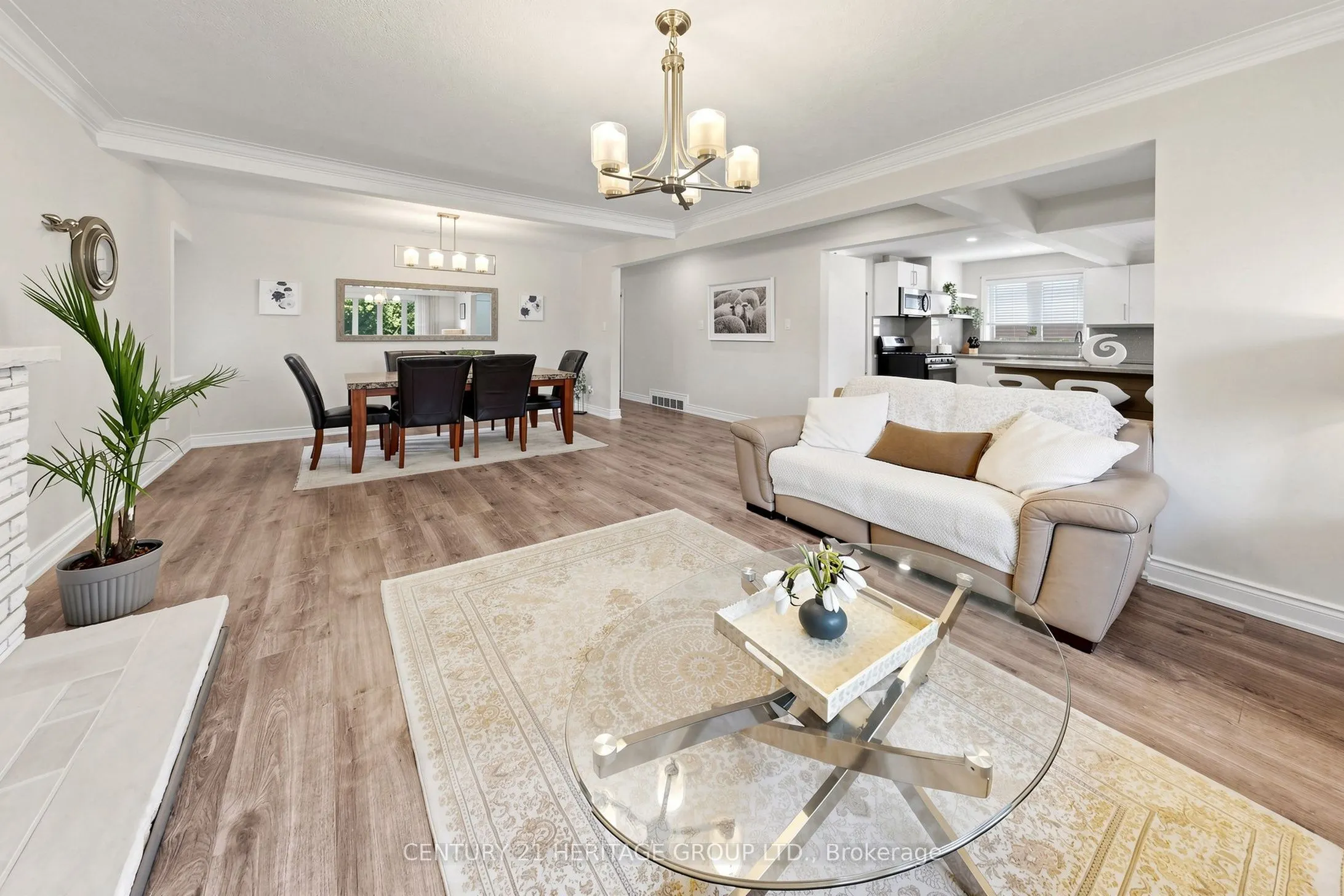 11 Elynhill Drive