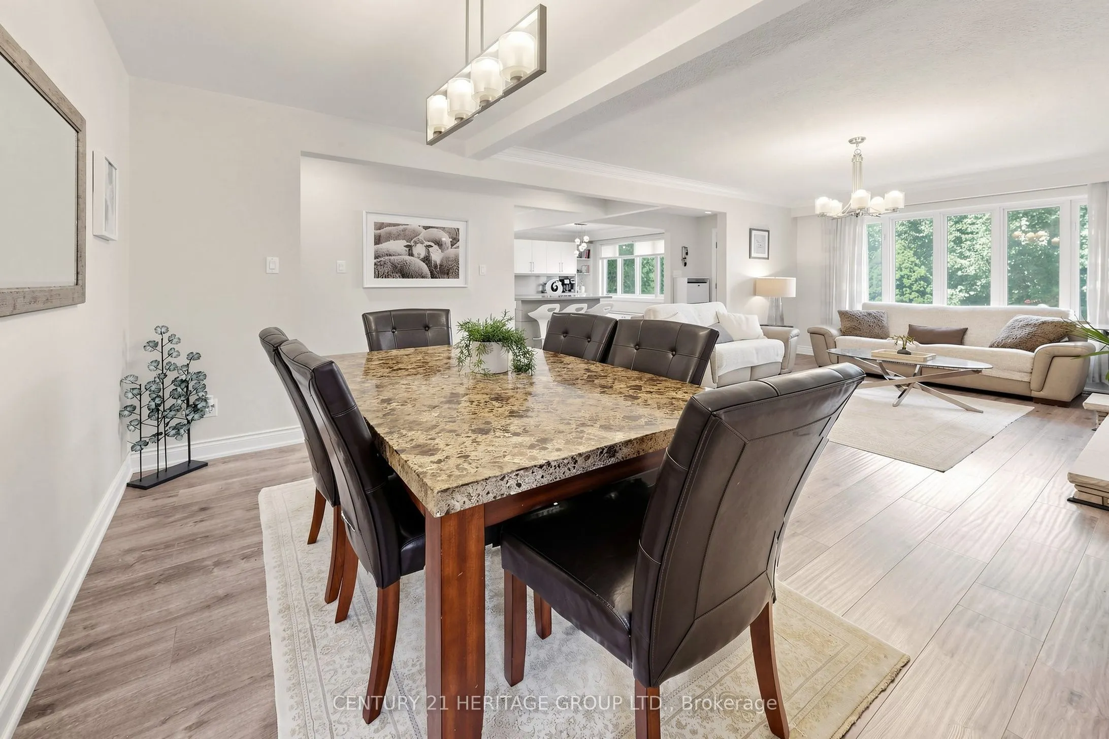 11 Elynhill Drive