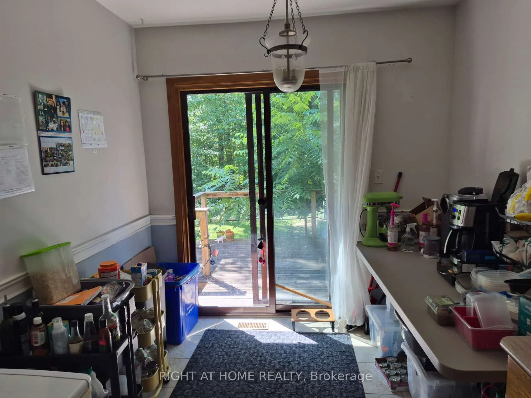 17 Gwendolen Avenue