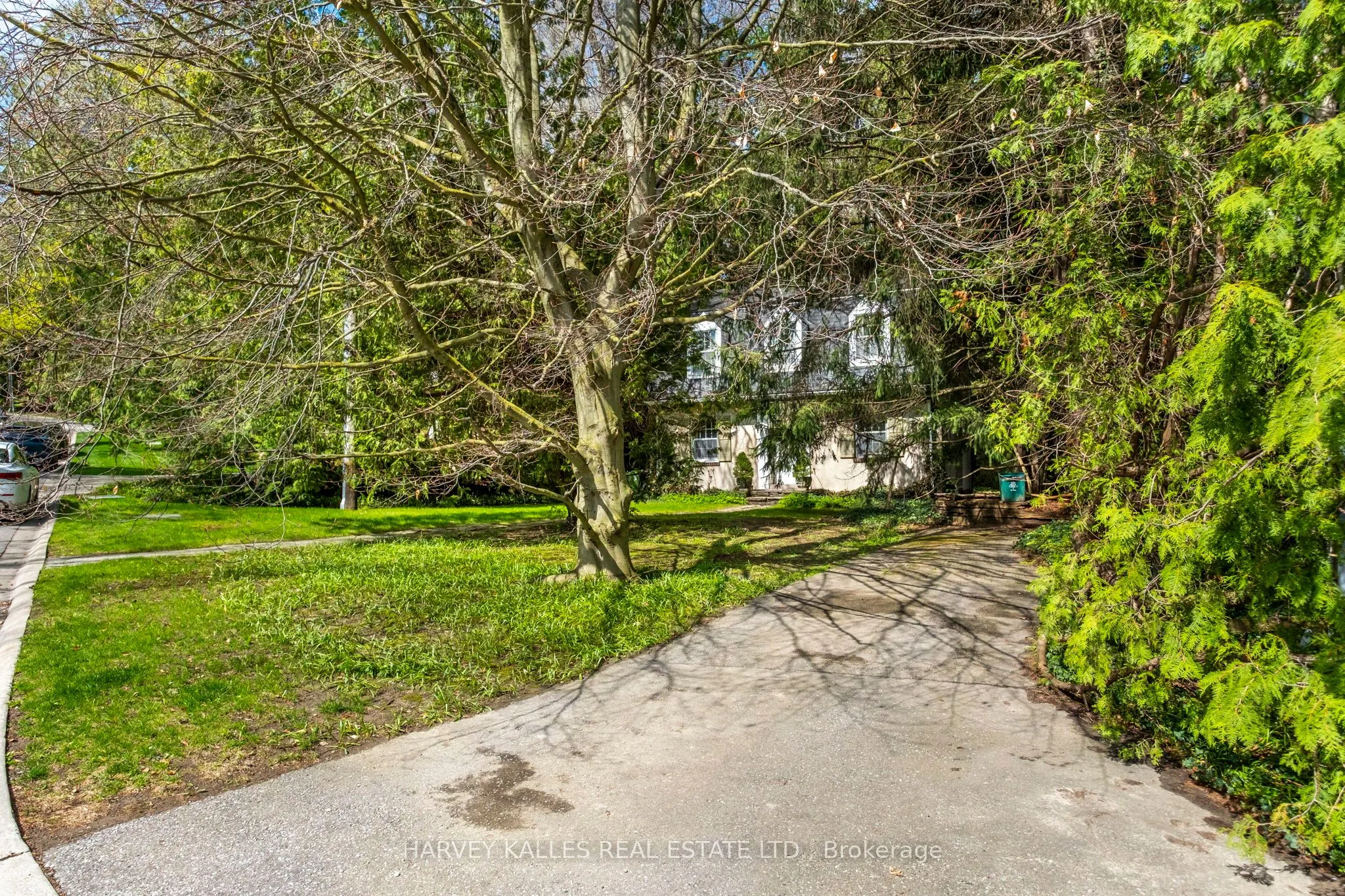 38 Donwoods Drive