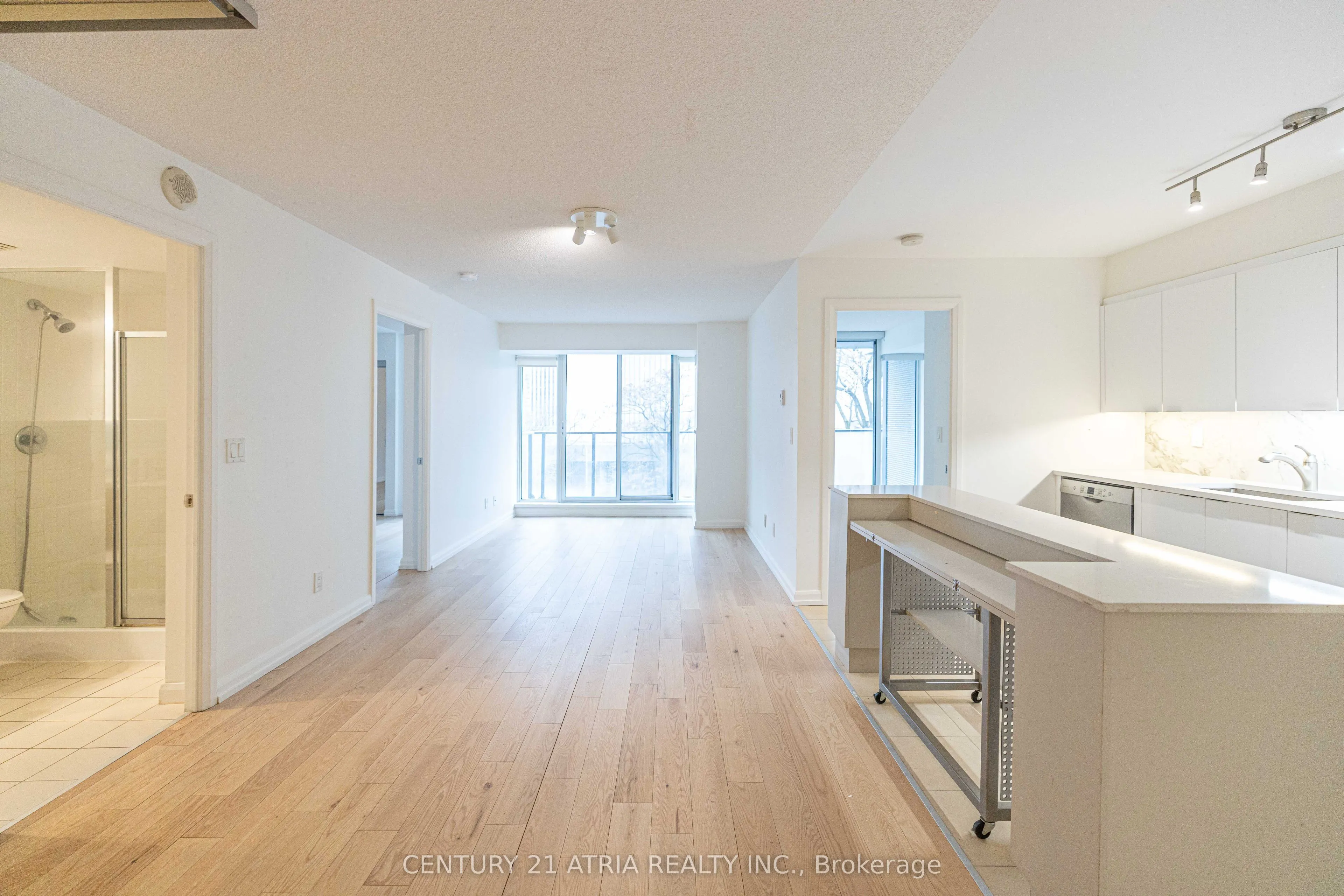 111 Elizabeth Street #606