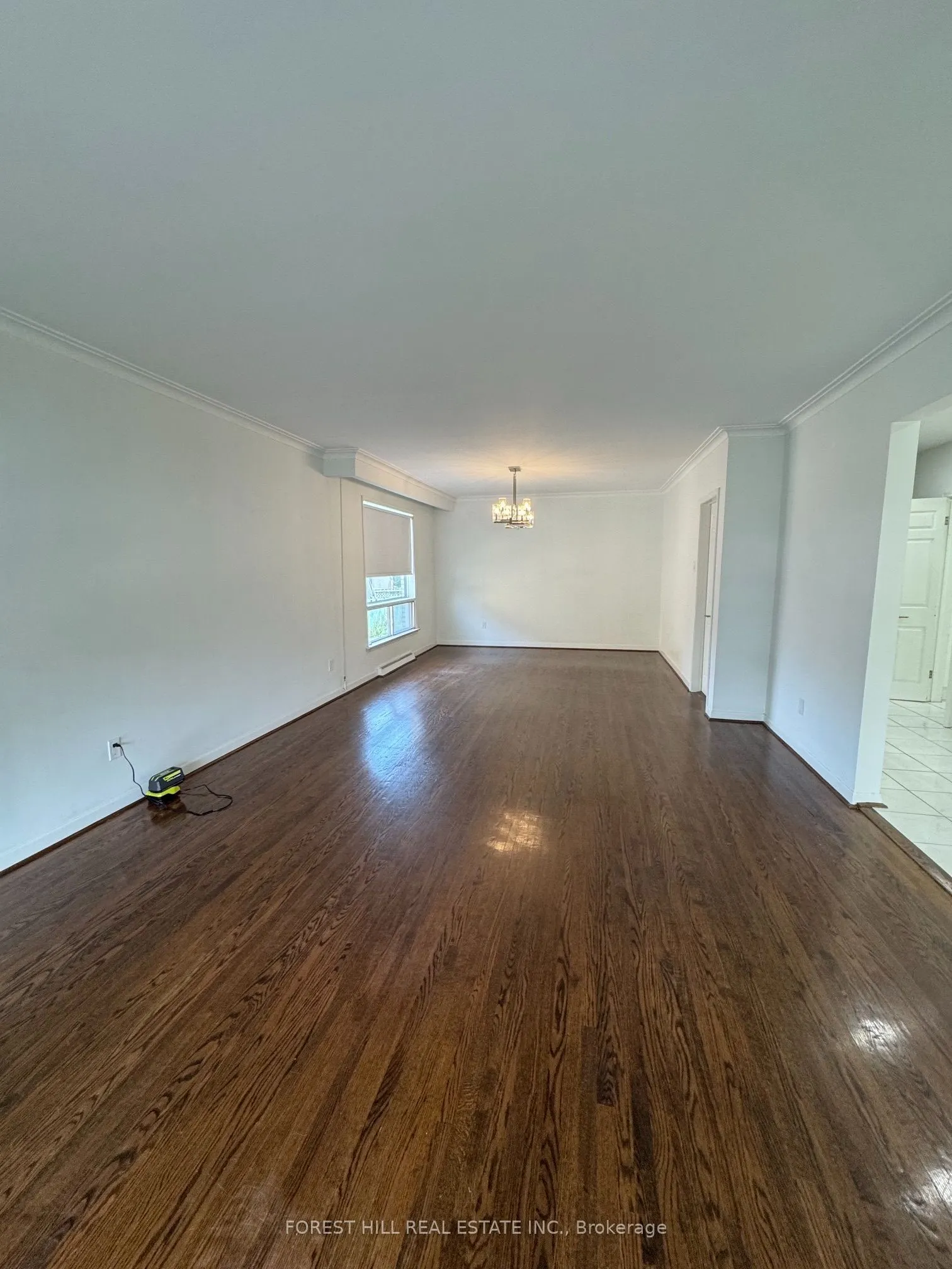 3 Tokay Court