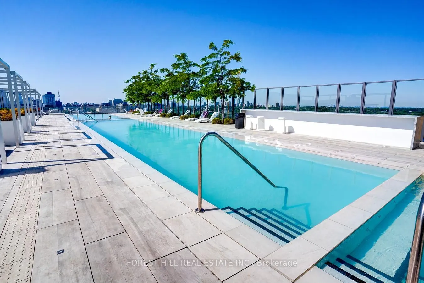 8 Hillsdale Avenue #736