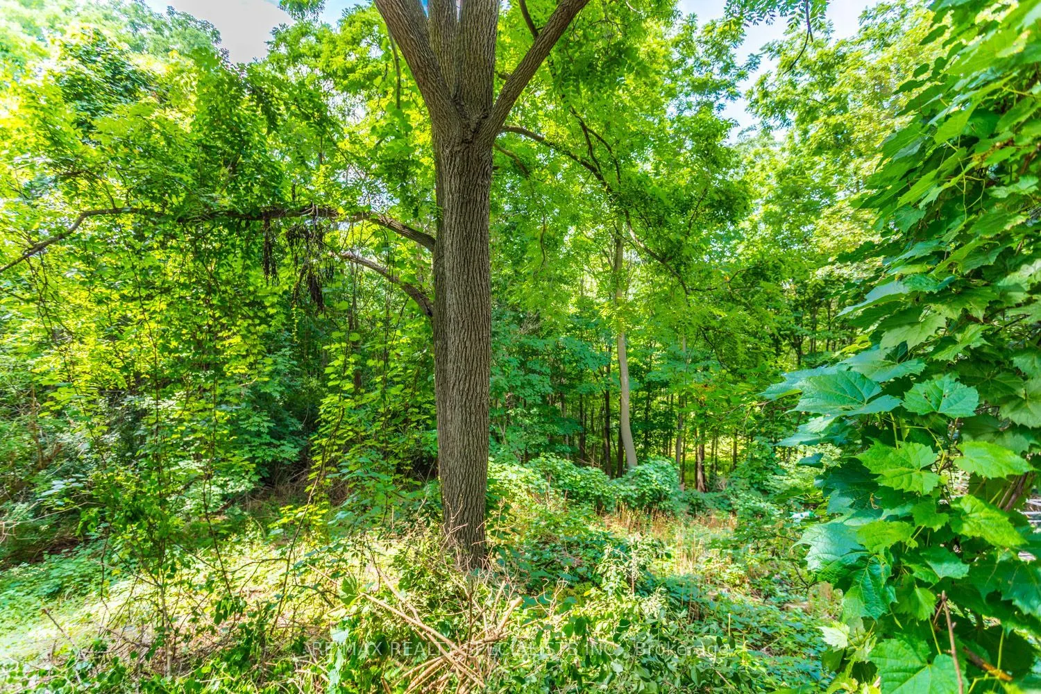 22 Heathview Avenue