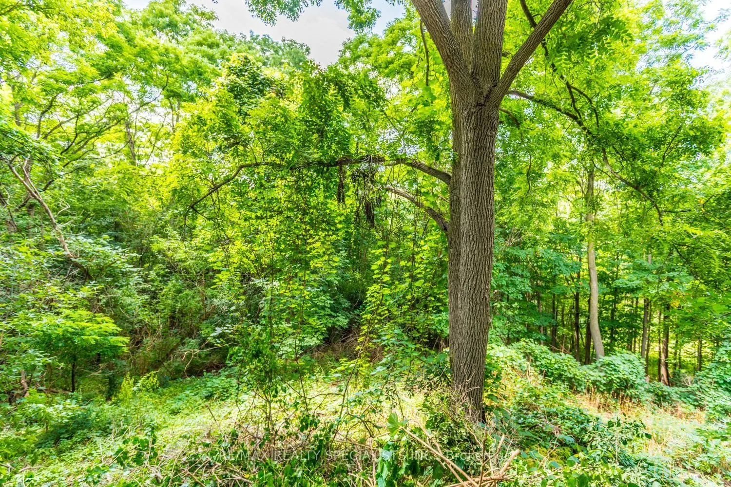22 Heathview Avenue