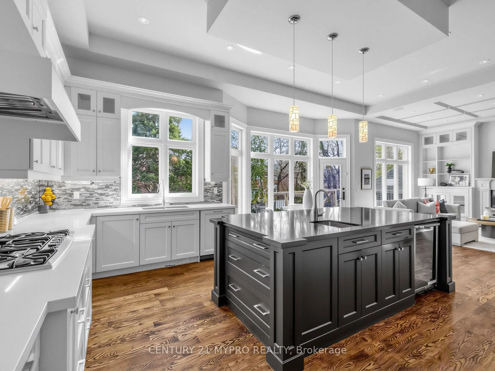 299 Spring Garden Avenue