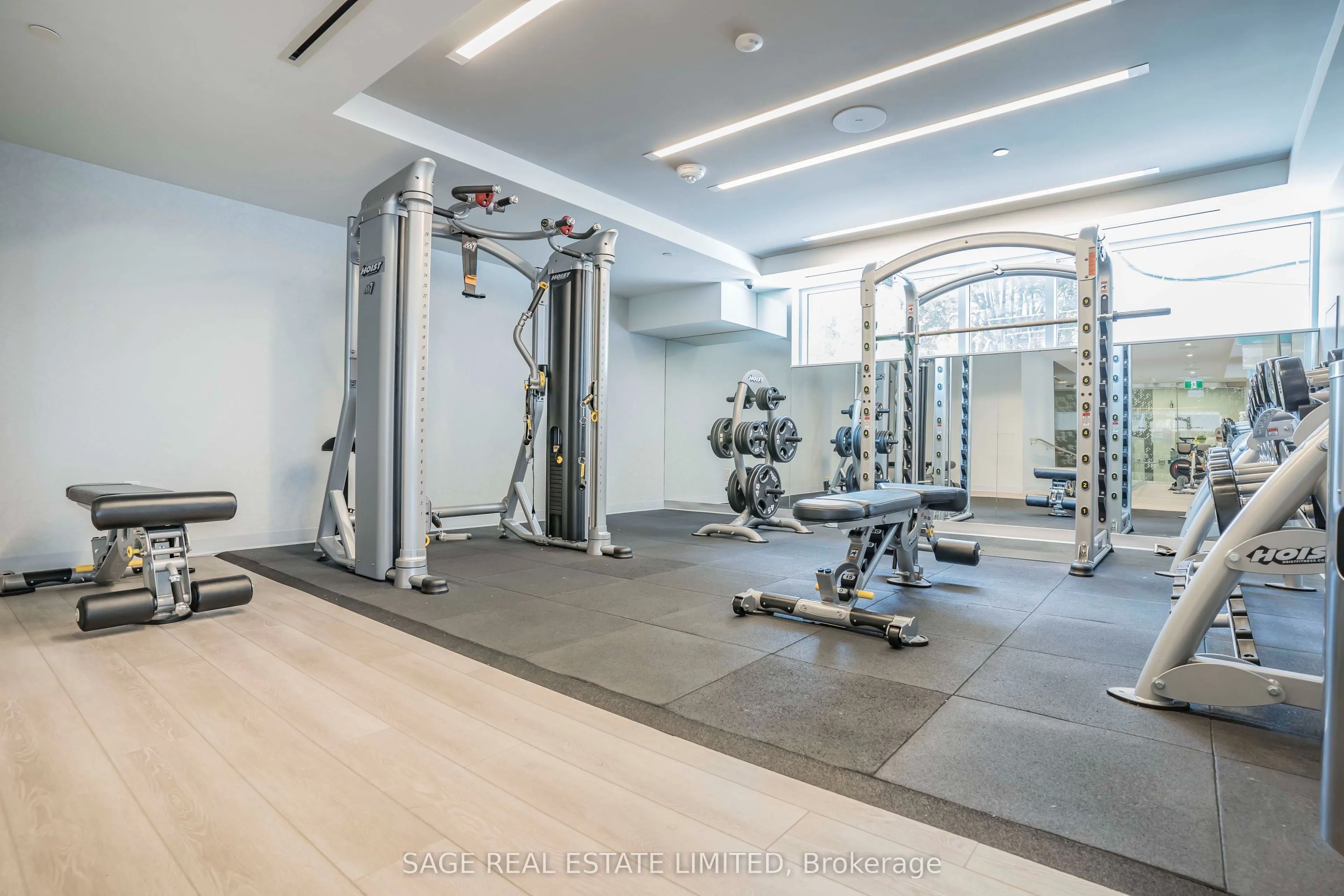 50 McCaul Street #1105