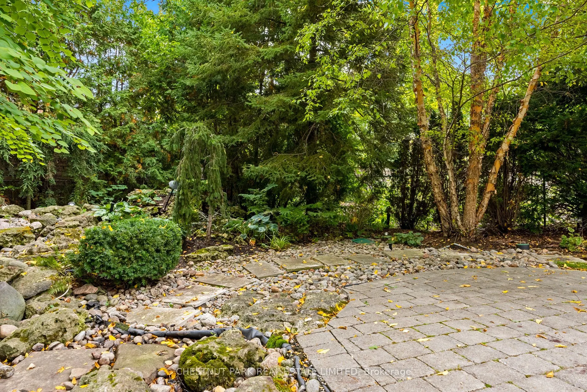 160 Cortleigh Boulevard