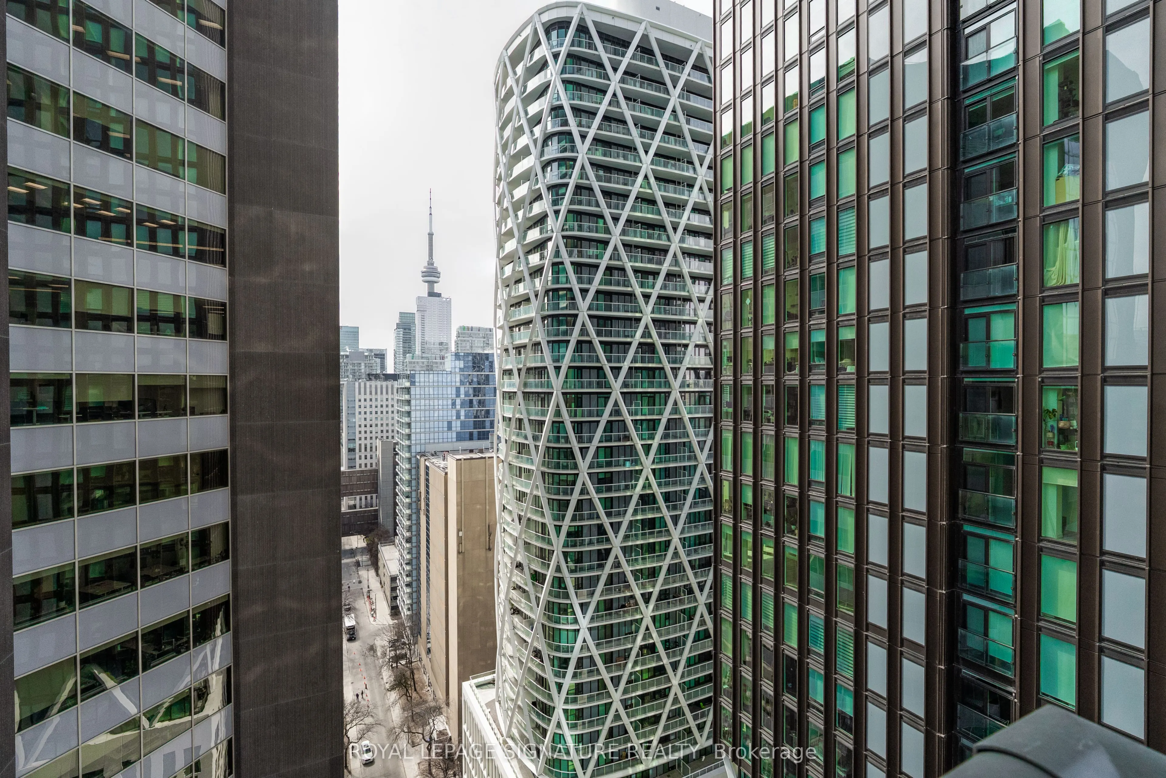 426 University Avenue #2503