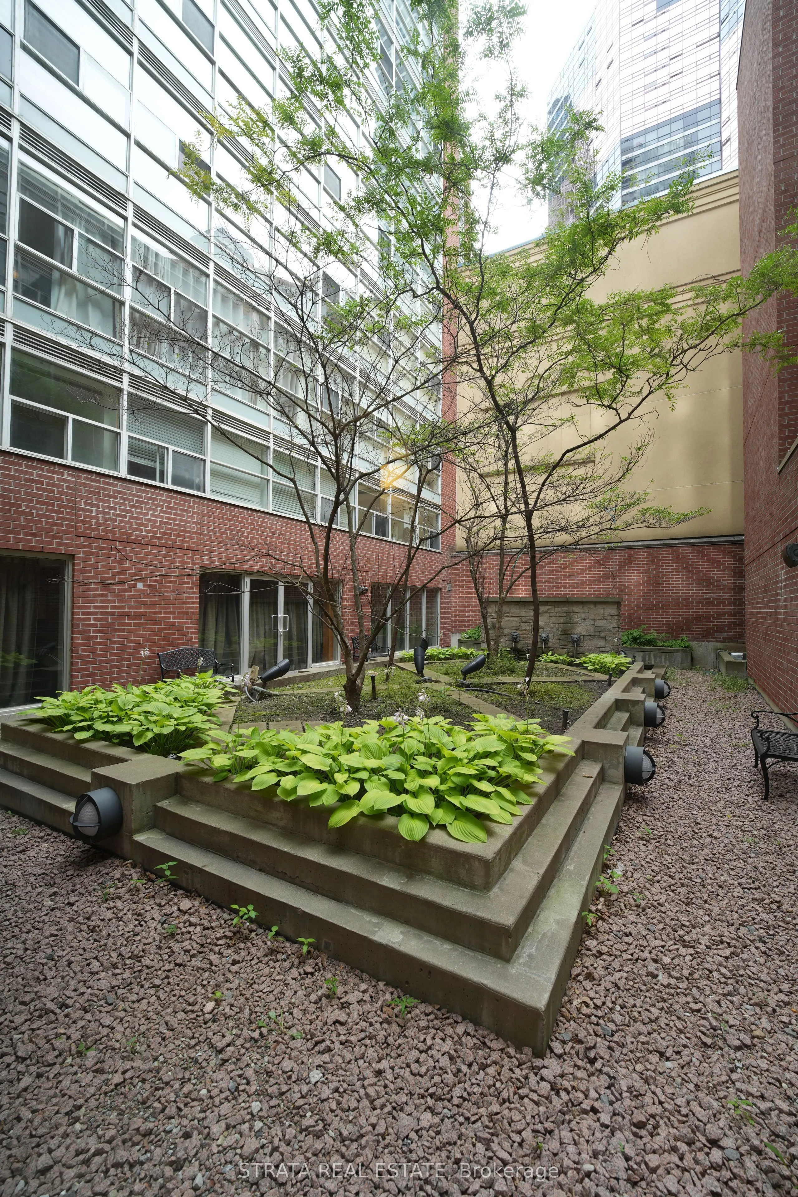 11 St Joseph Street #304