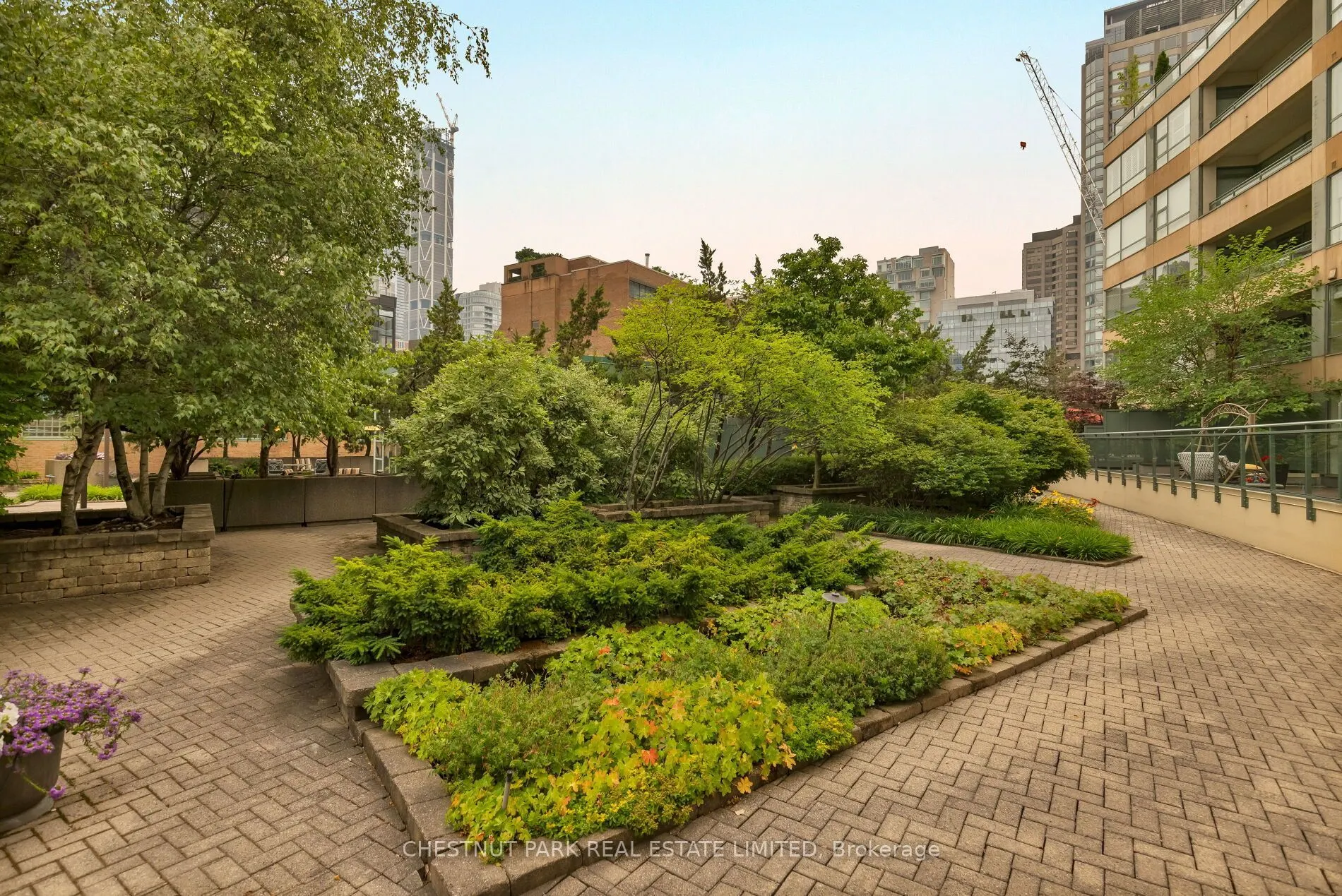 77 Avenue Road #612