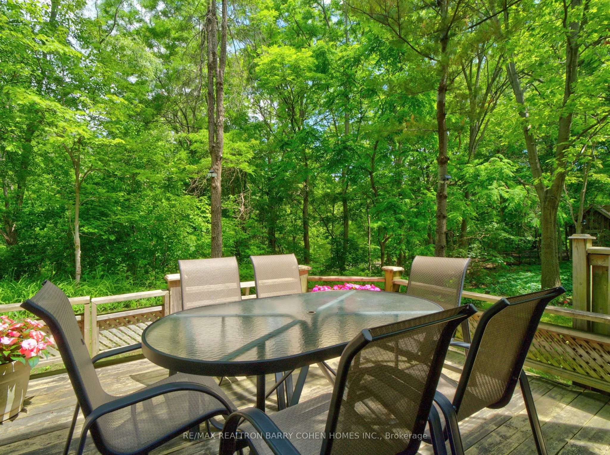 21 Birchbank Lane #23
