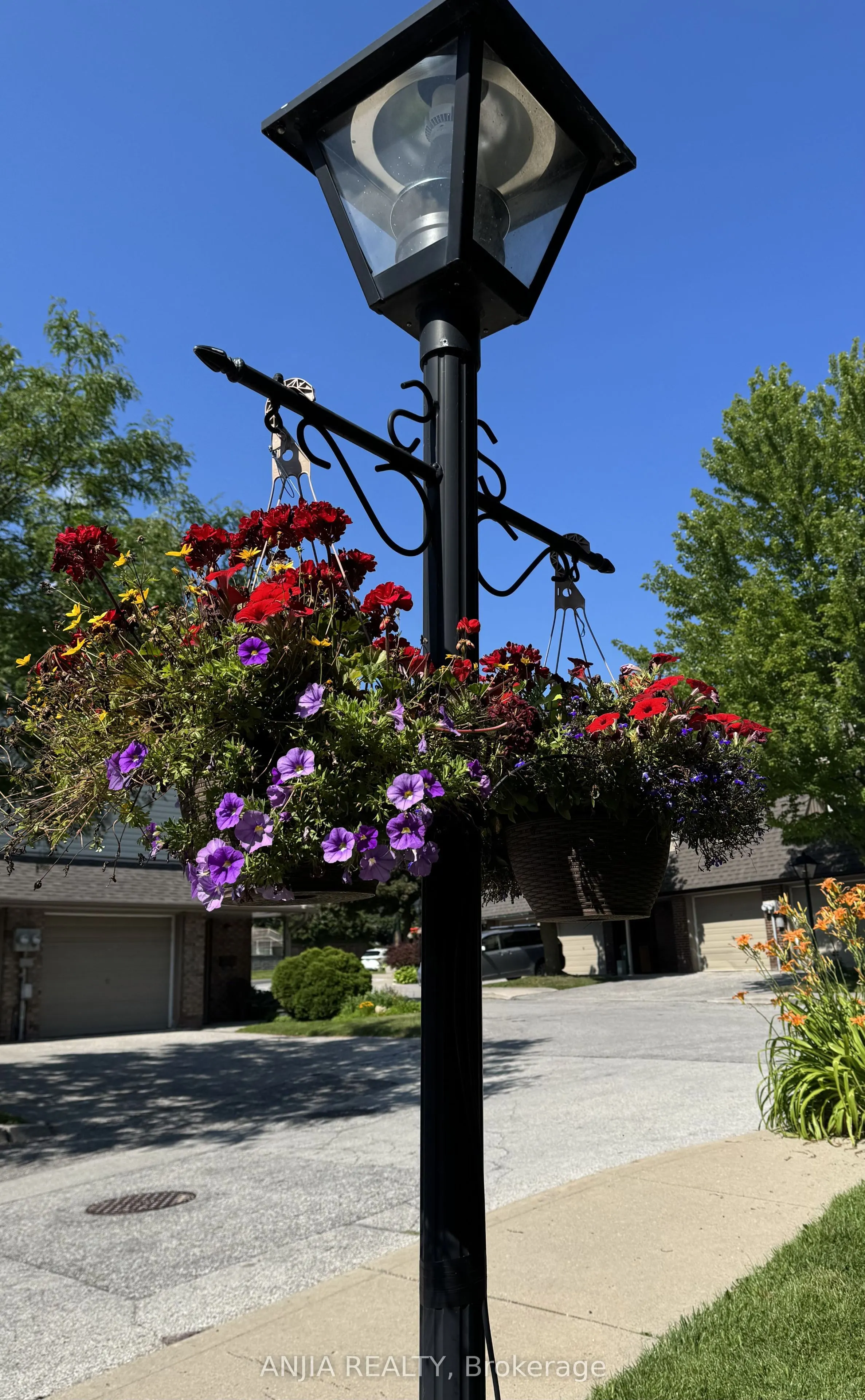 7 Purple Sageway #65