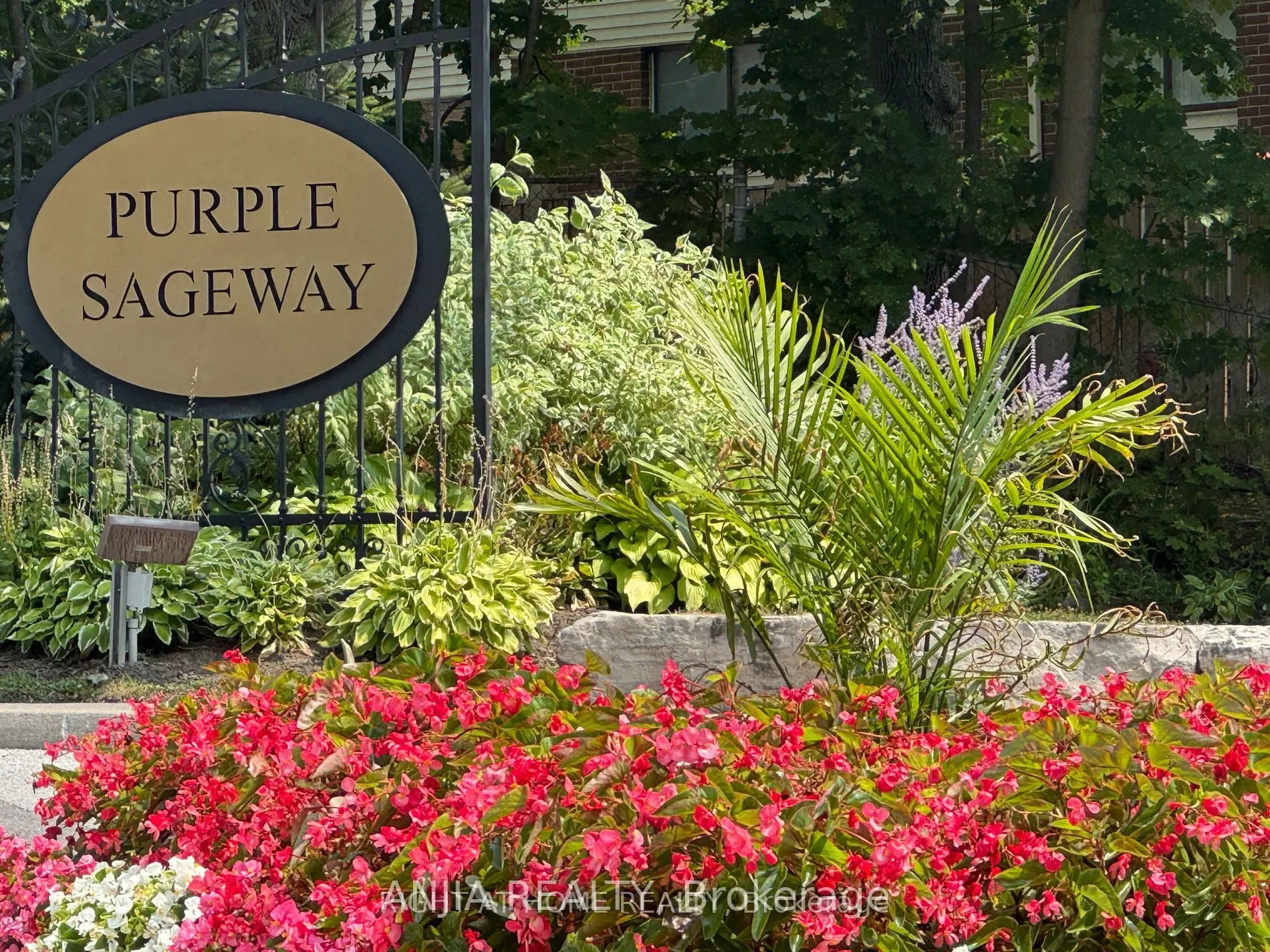 7 Purple Sageway #65