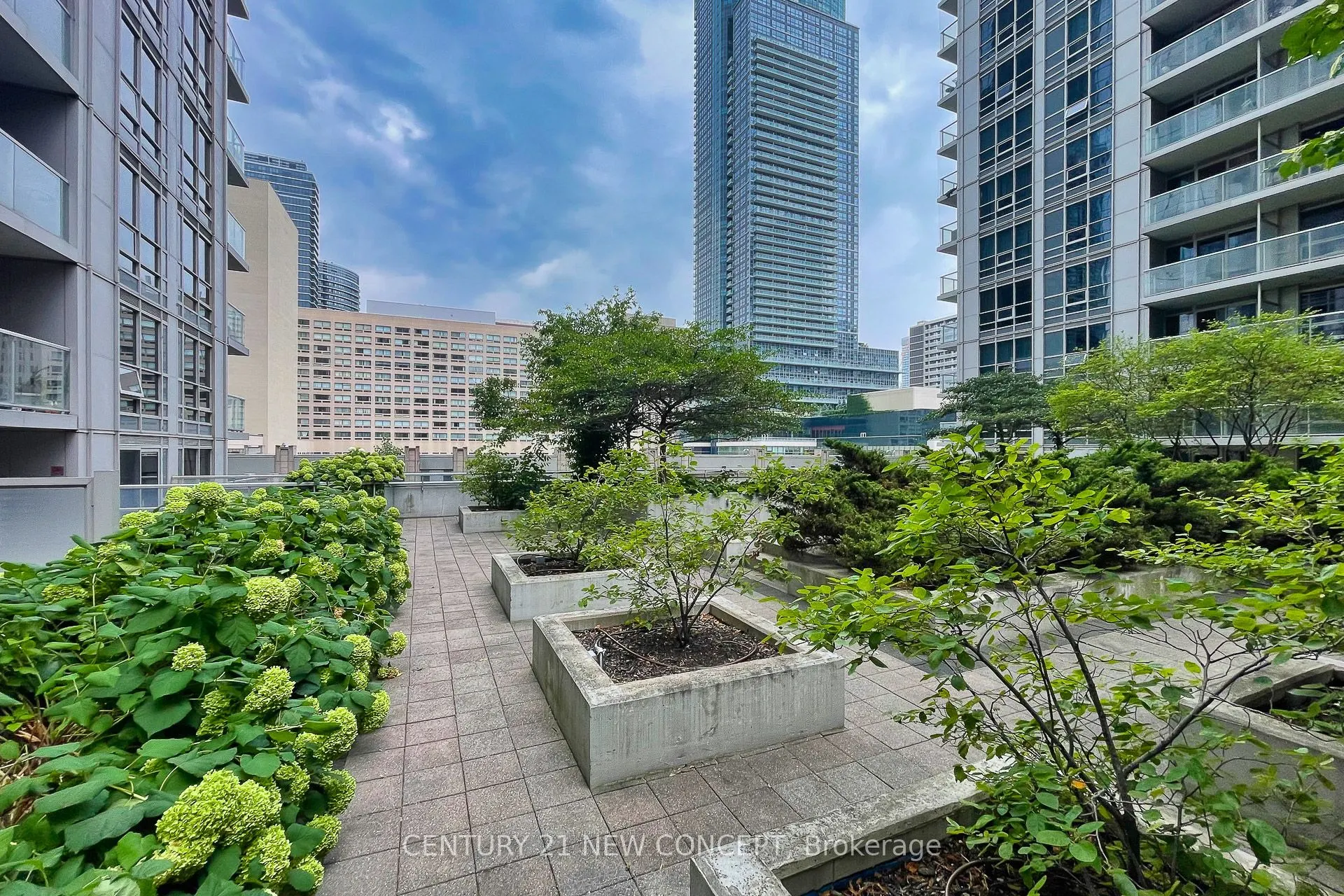 761 Bay Street #404