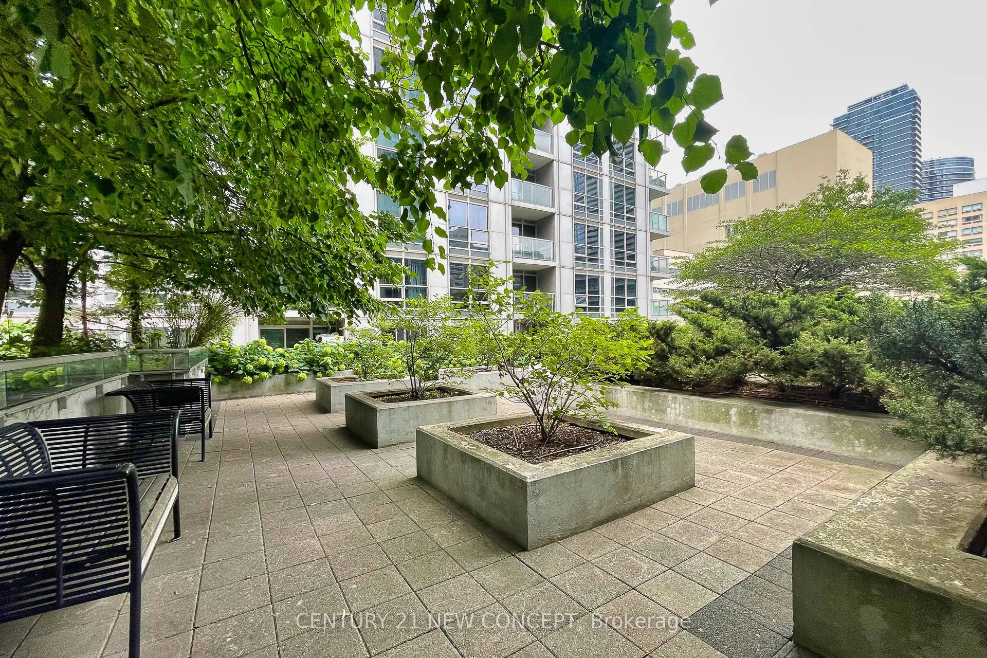 761 Bay Street #404