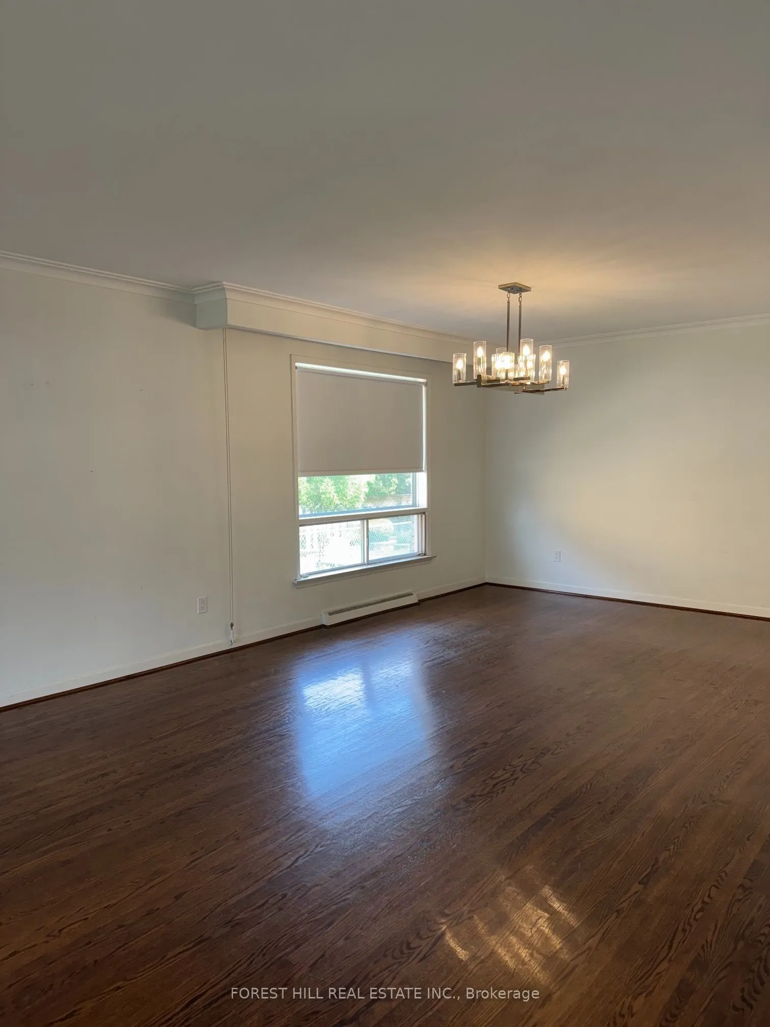 3 Tokay Court