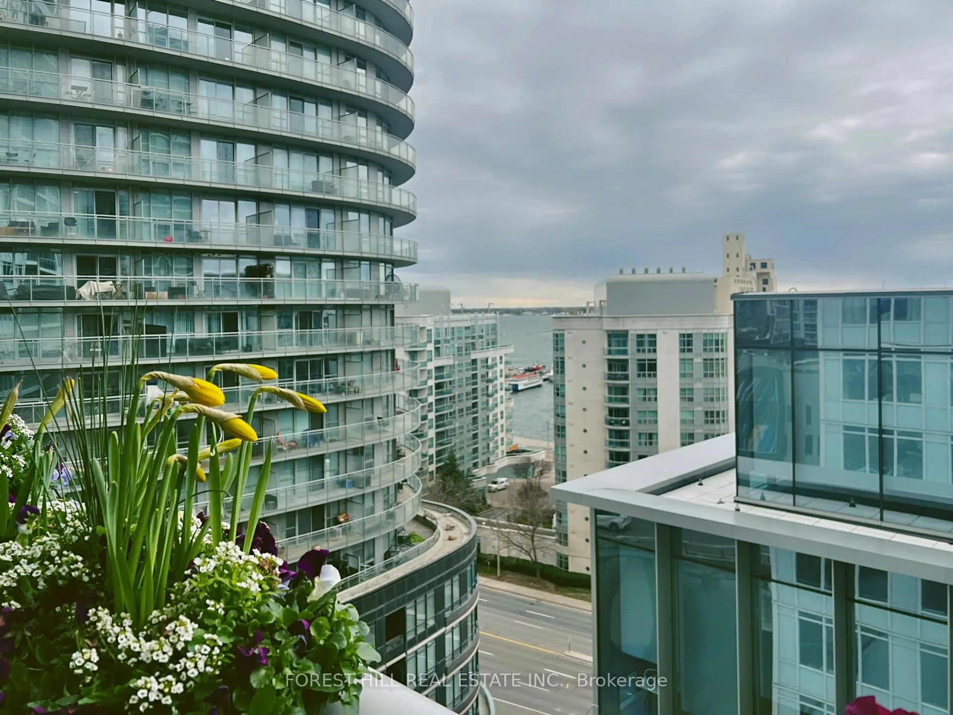 17 Bathurst Street #1215