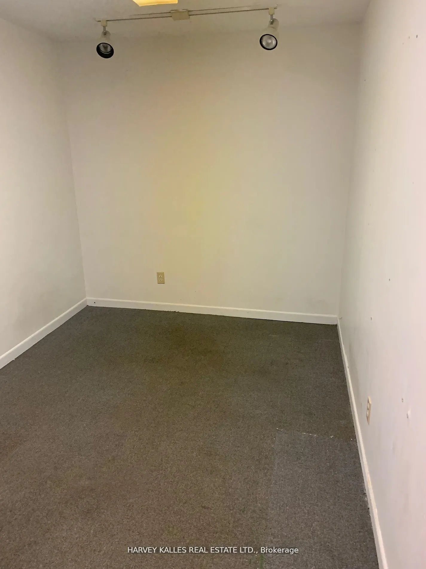 258 Wilson Avenue #B100