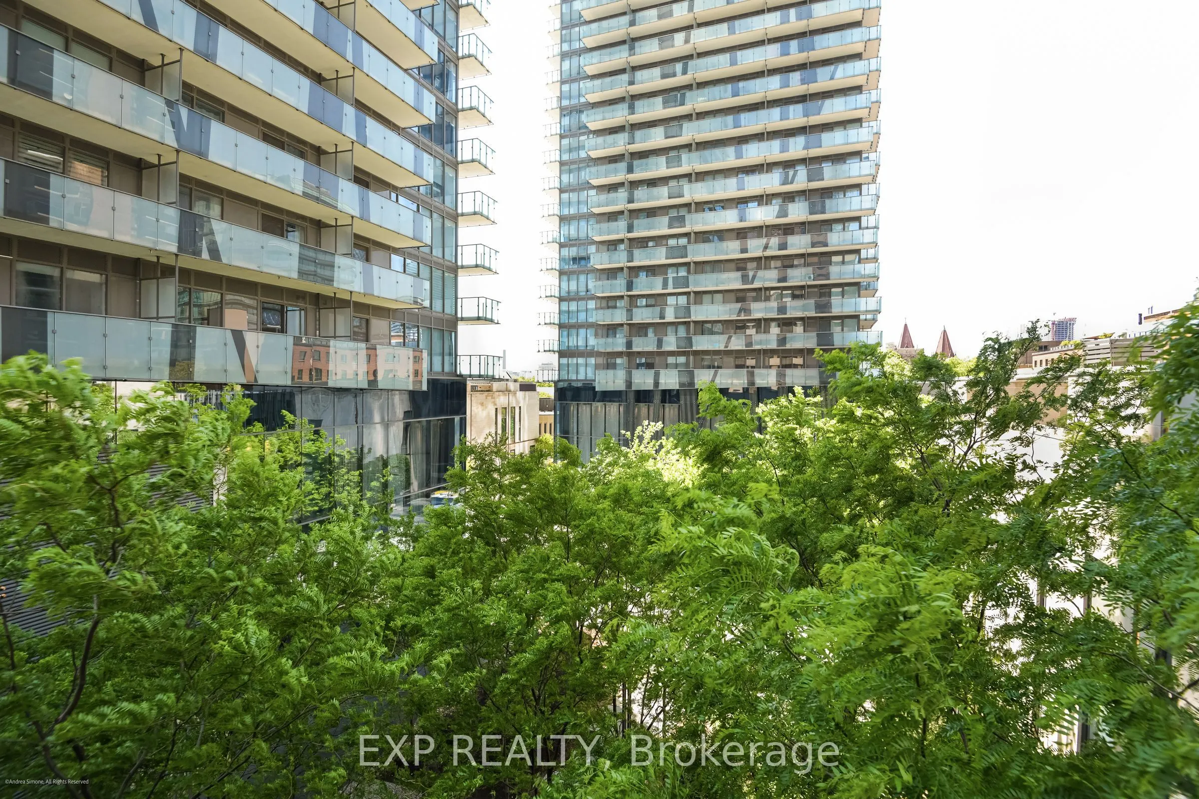 1084 Bay Street #15