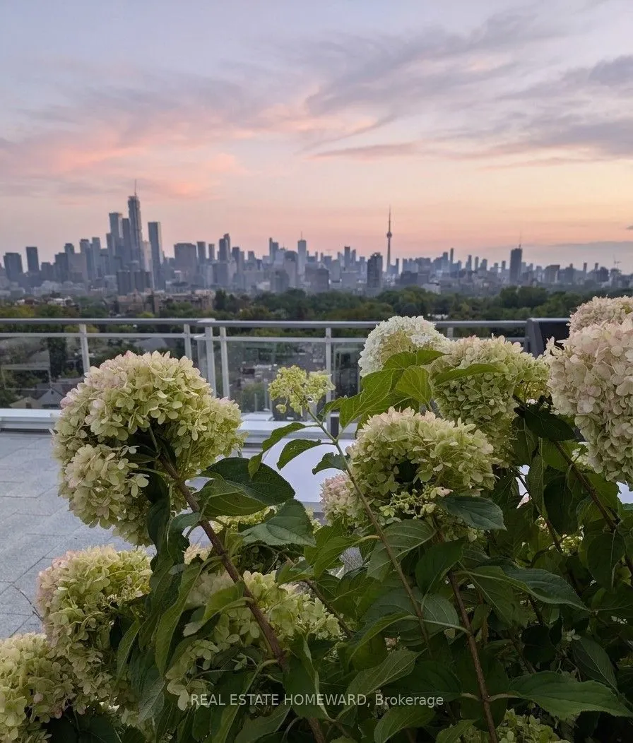 223 St Clair Avenue W #309