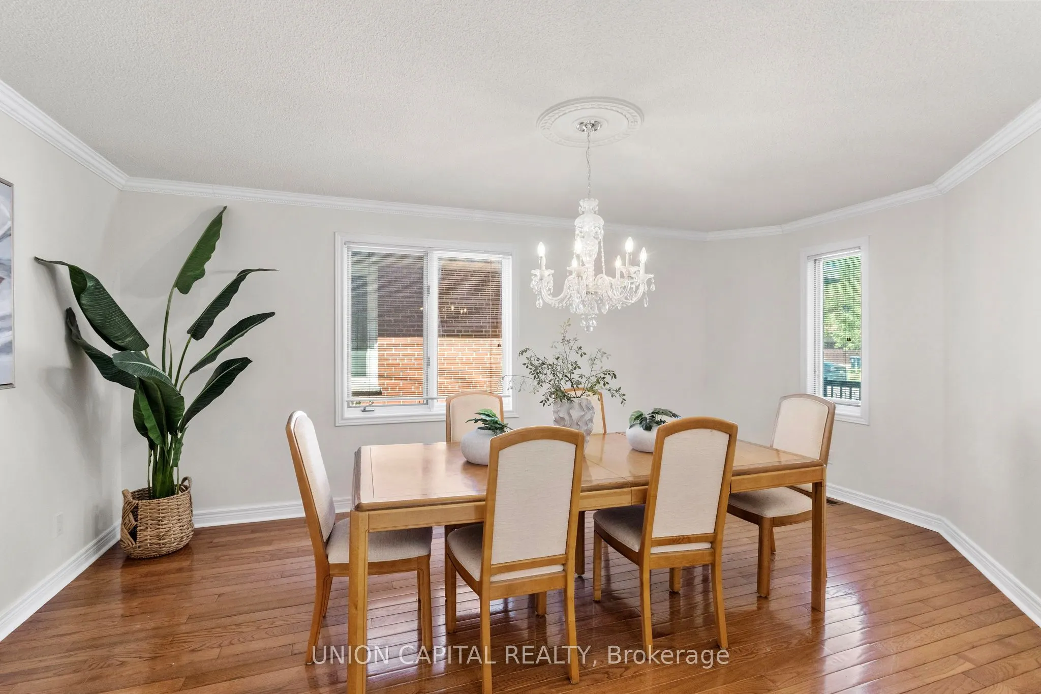 99 Abitibi Avenue