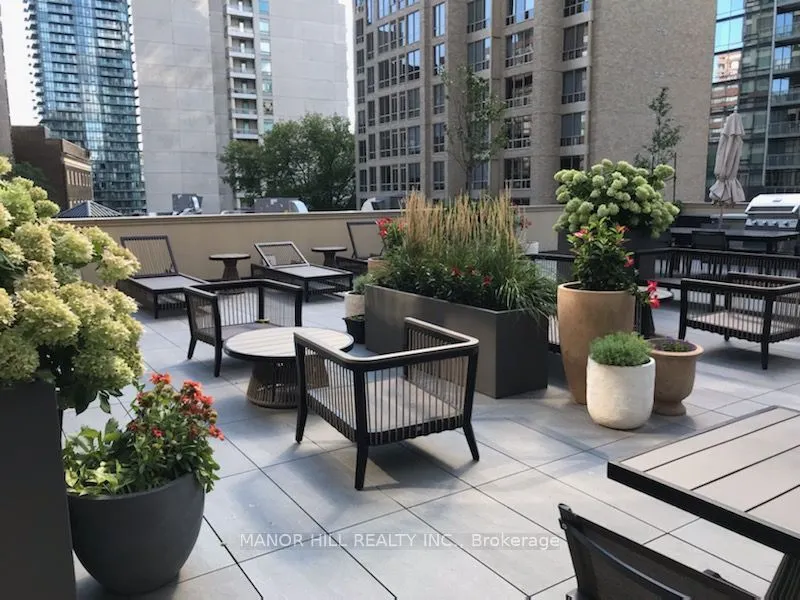1331 Bay Street #803