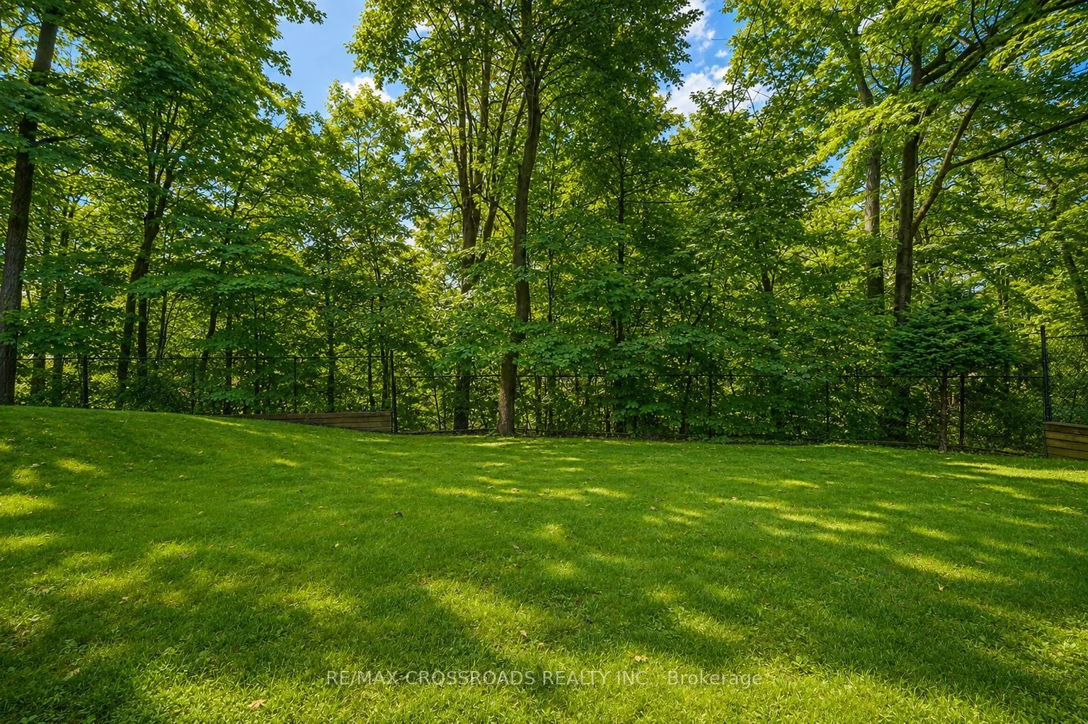55 Forest Grove Drive