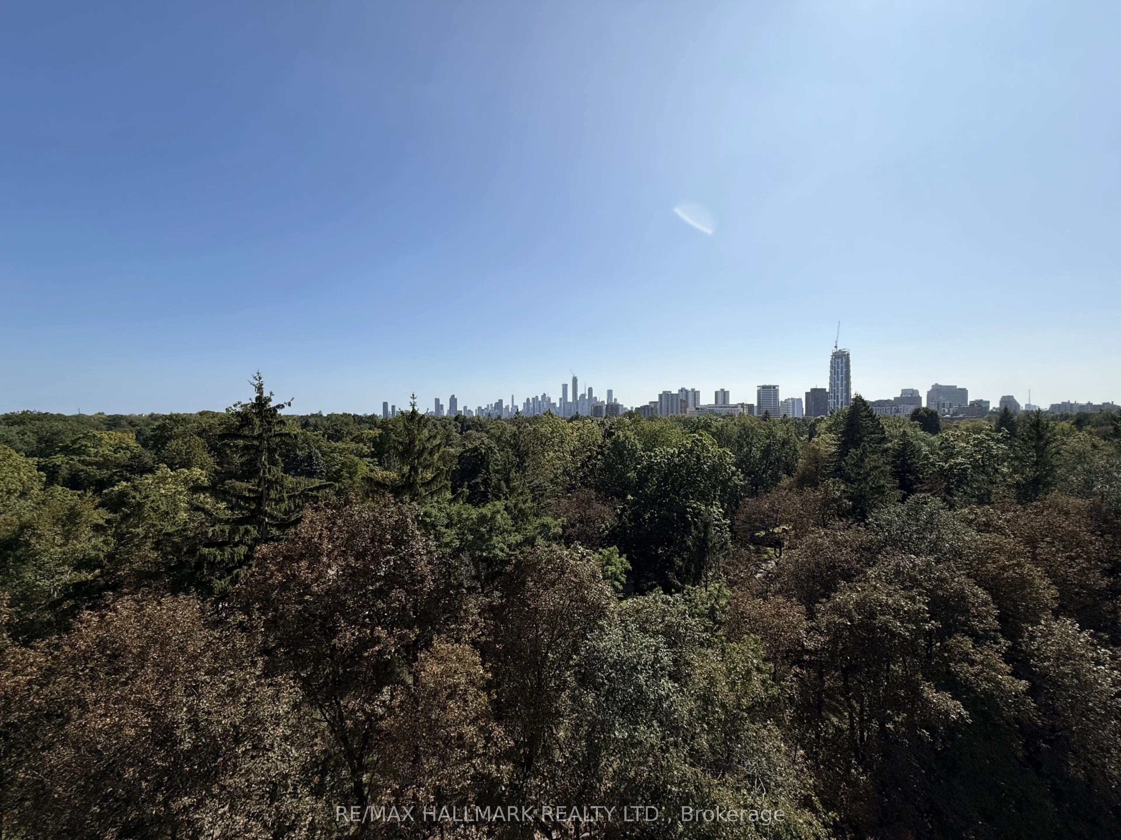 253 Merton Street #1006