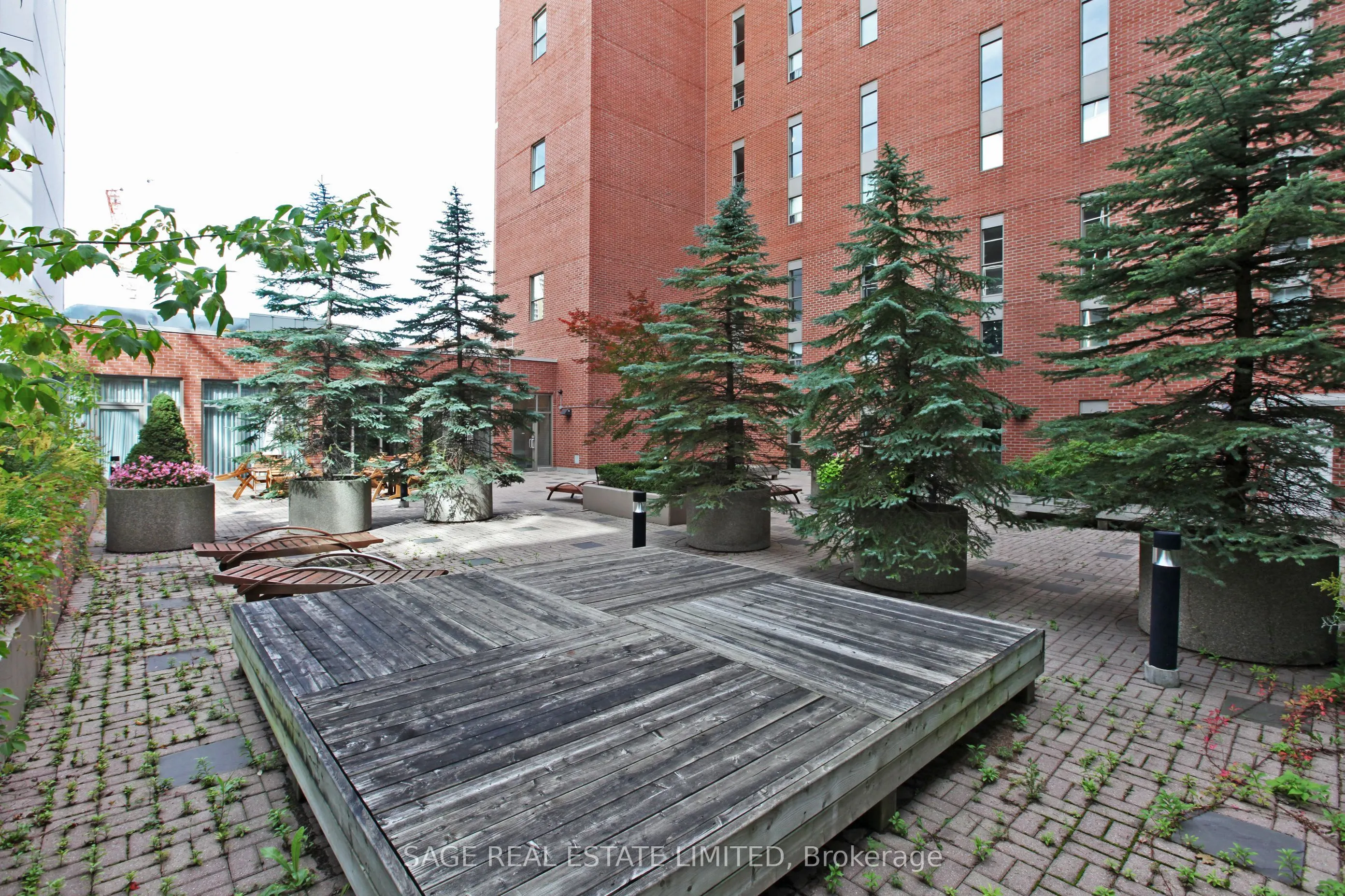 18 Merton Street #506