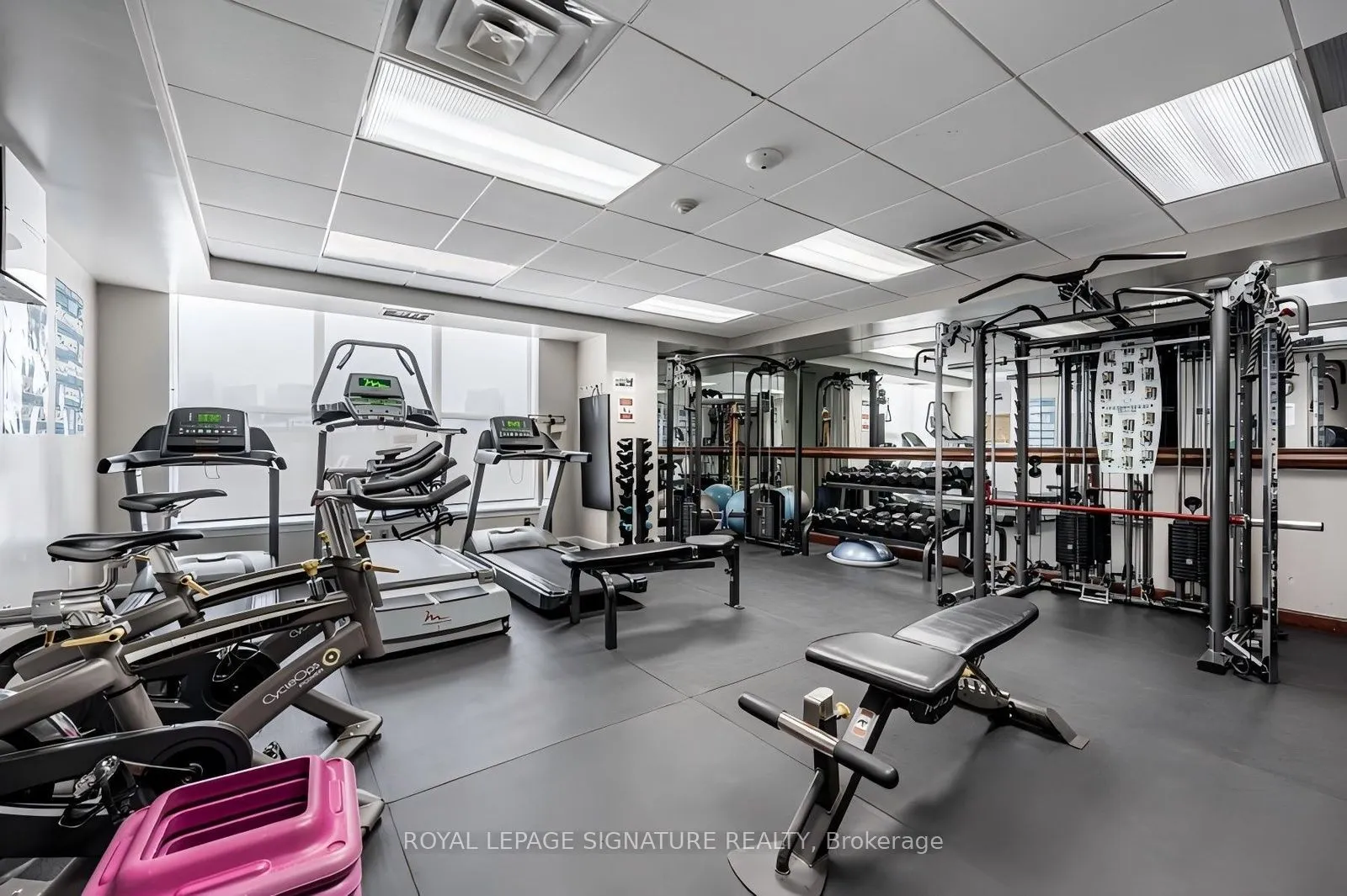 801 King Street W #627