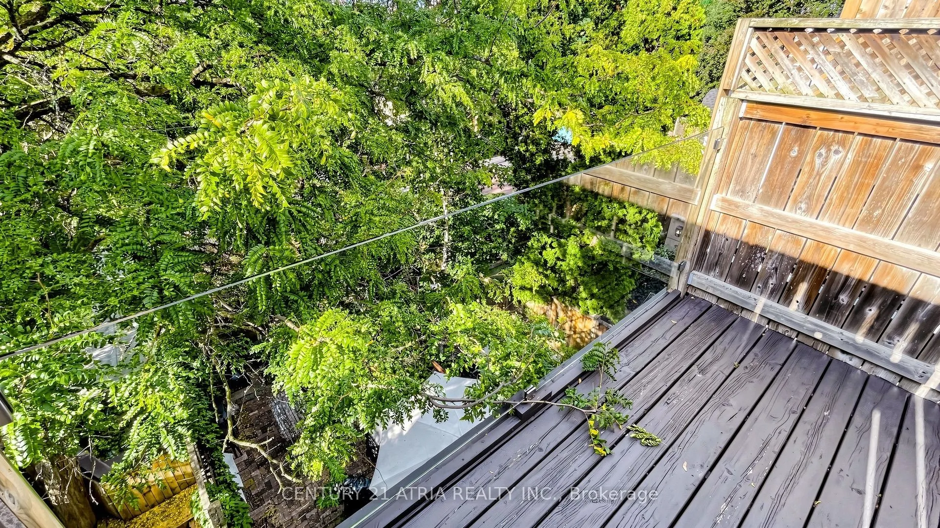 46 Belmont Street