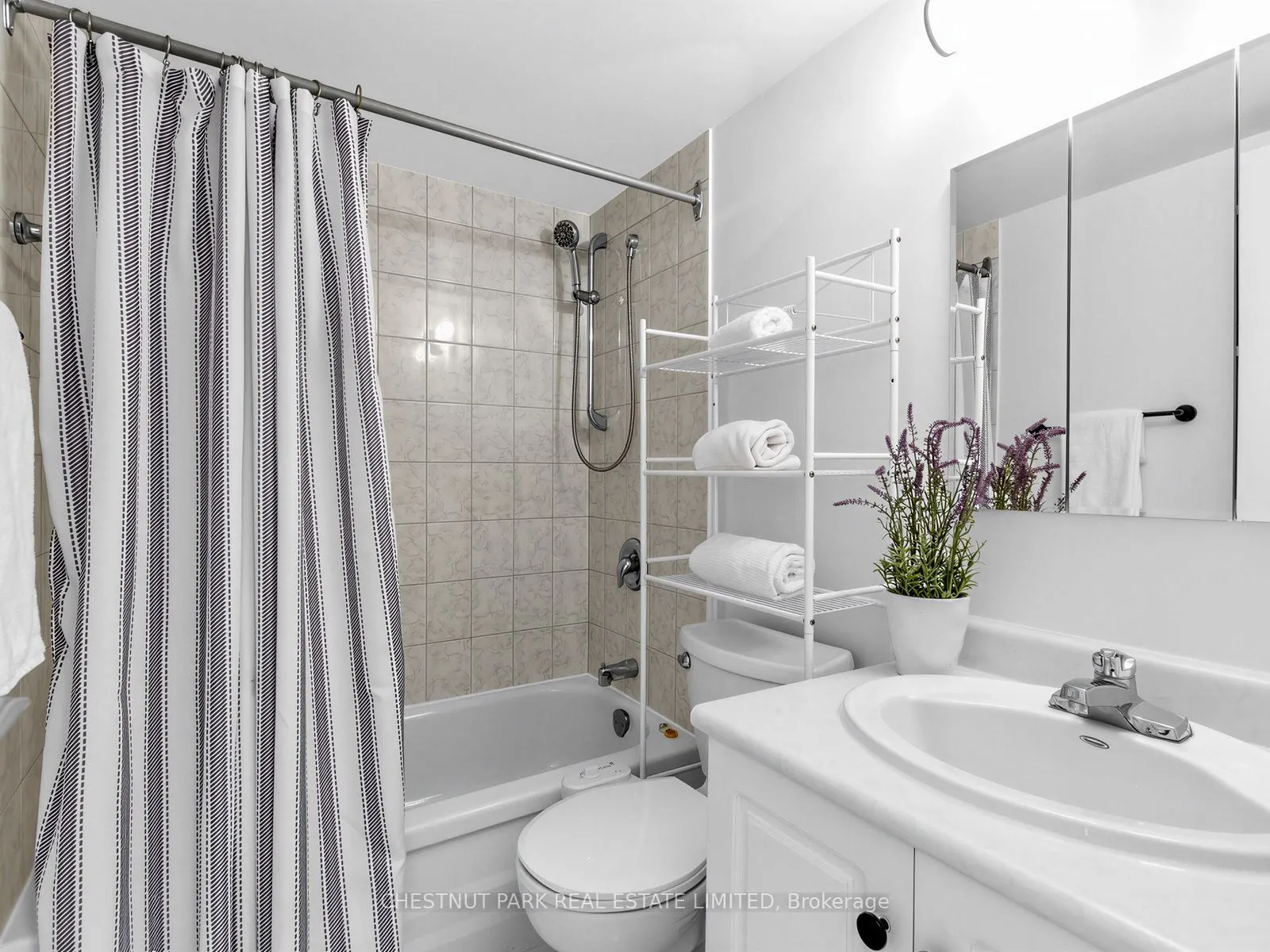 40 Homewood Avenue #414