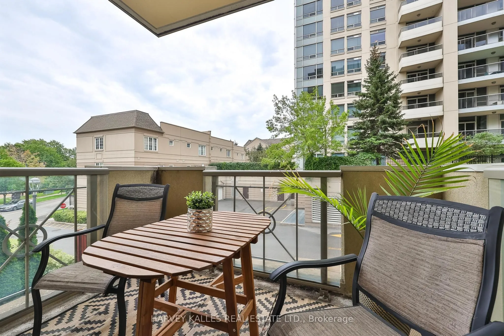 12 Rean Drive #212