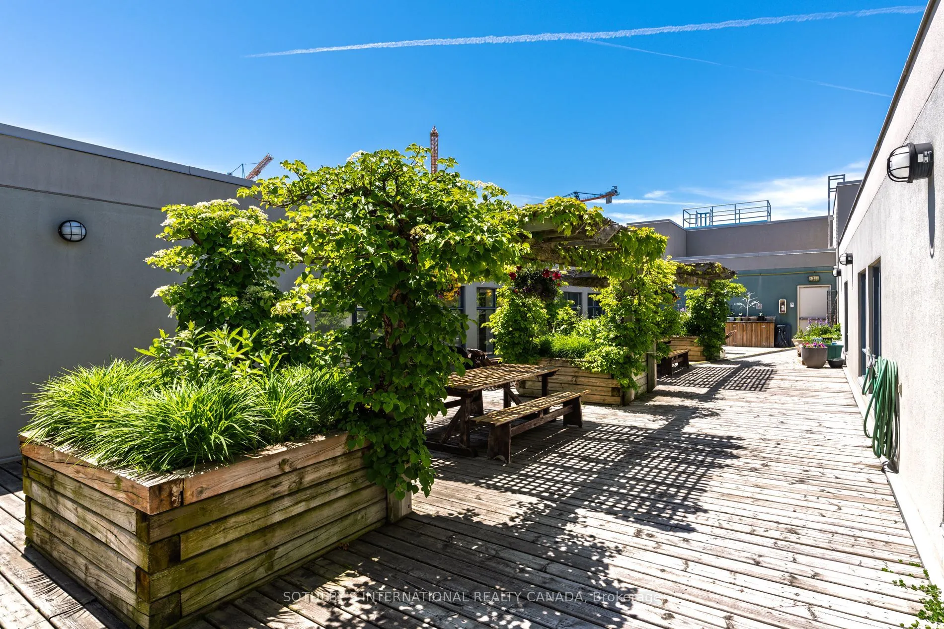 993 Queen Street W #208