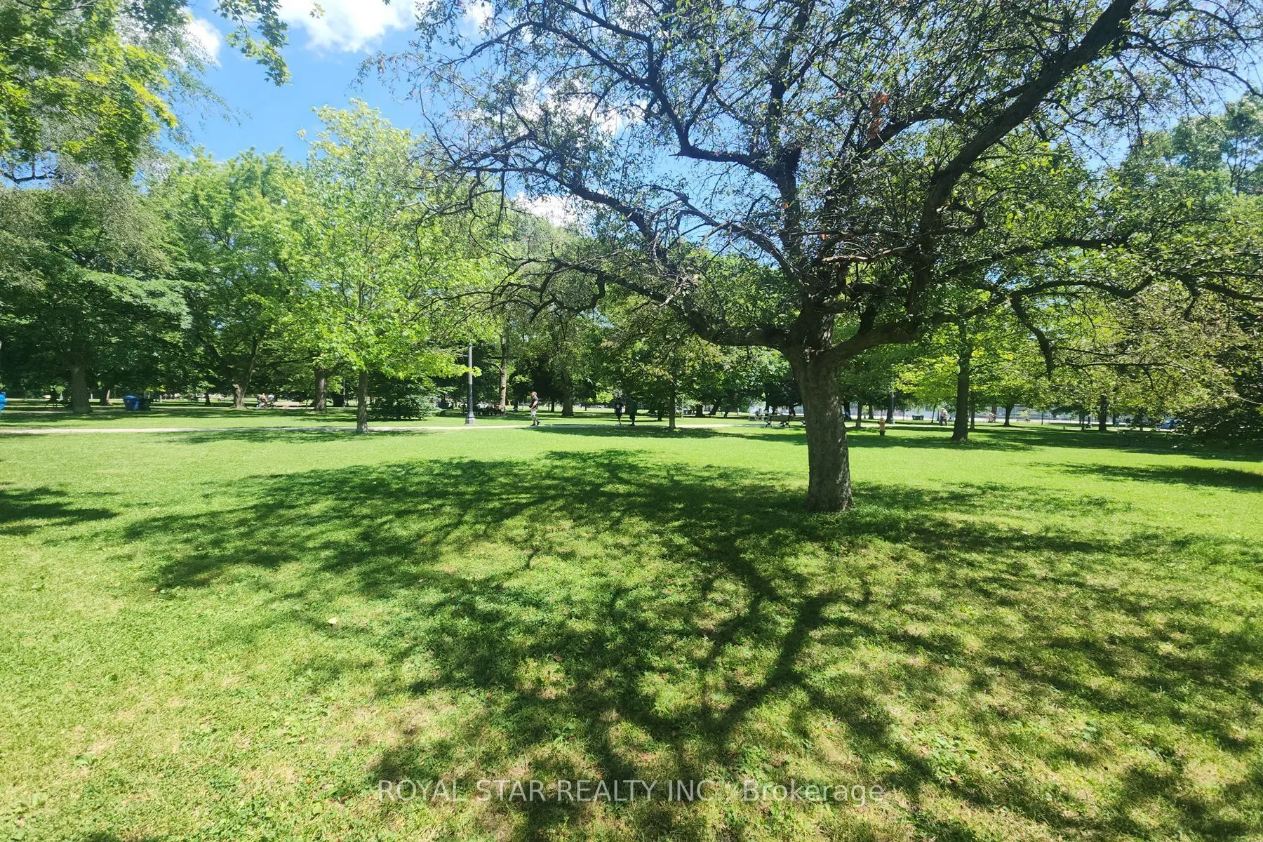 95 Bathurst Street #623