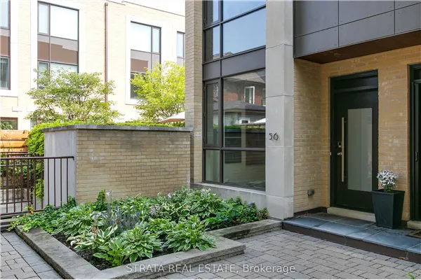 56 Havelock Street #16