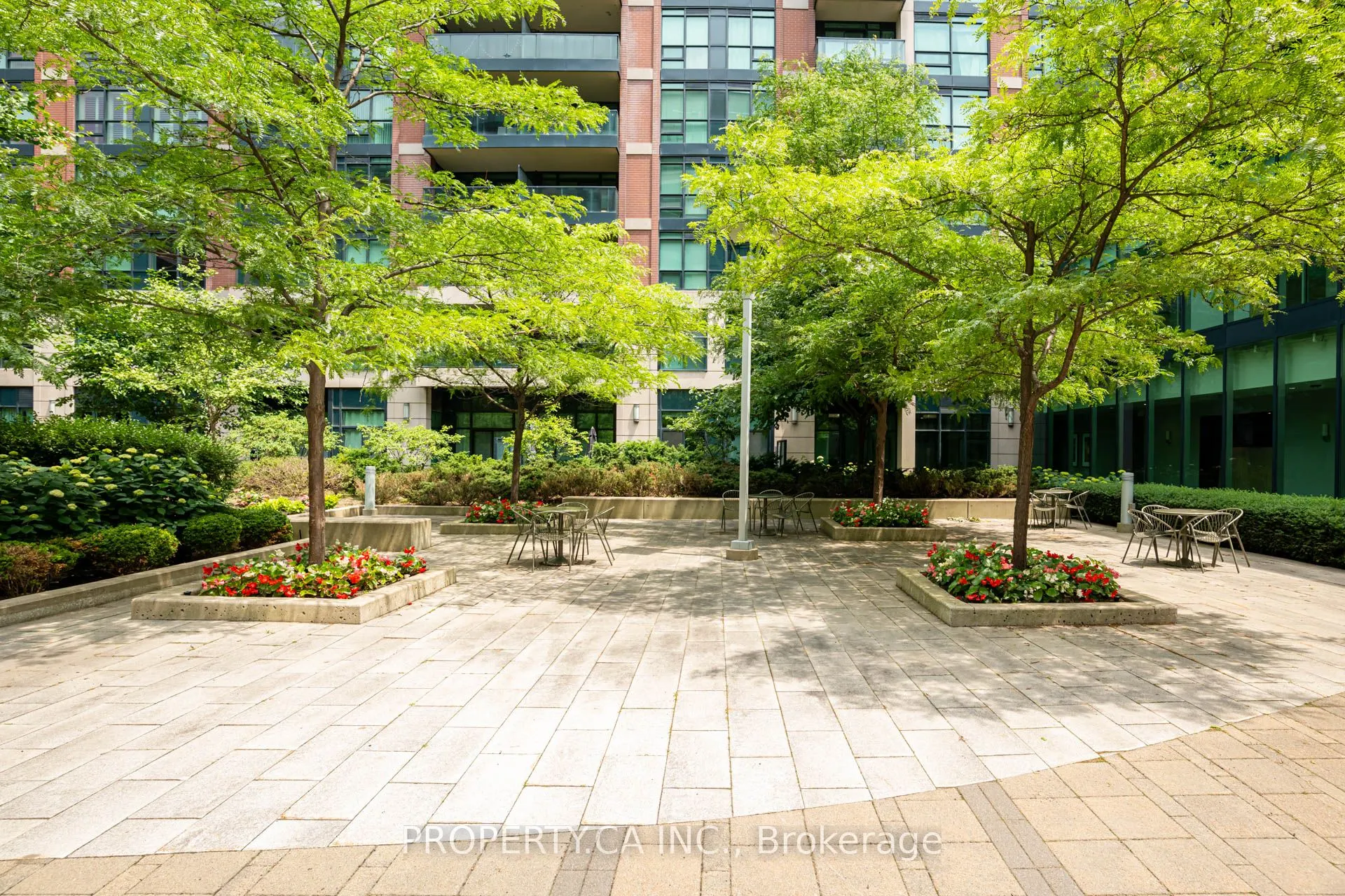 525 Wilson Avenue #118